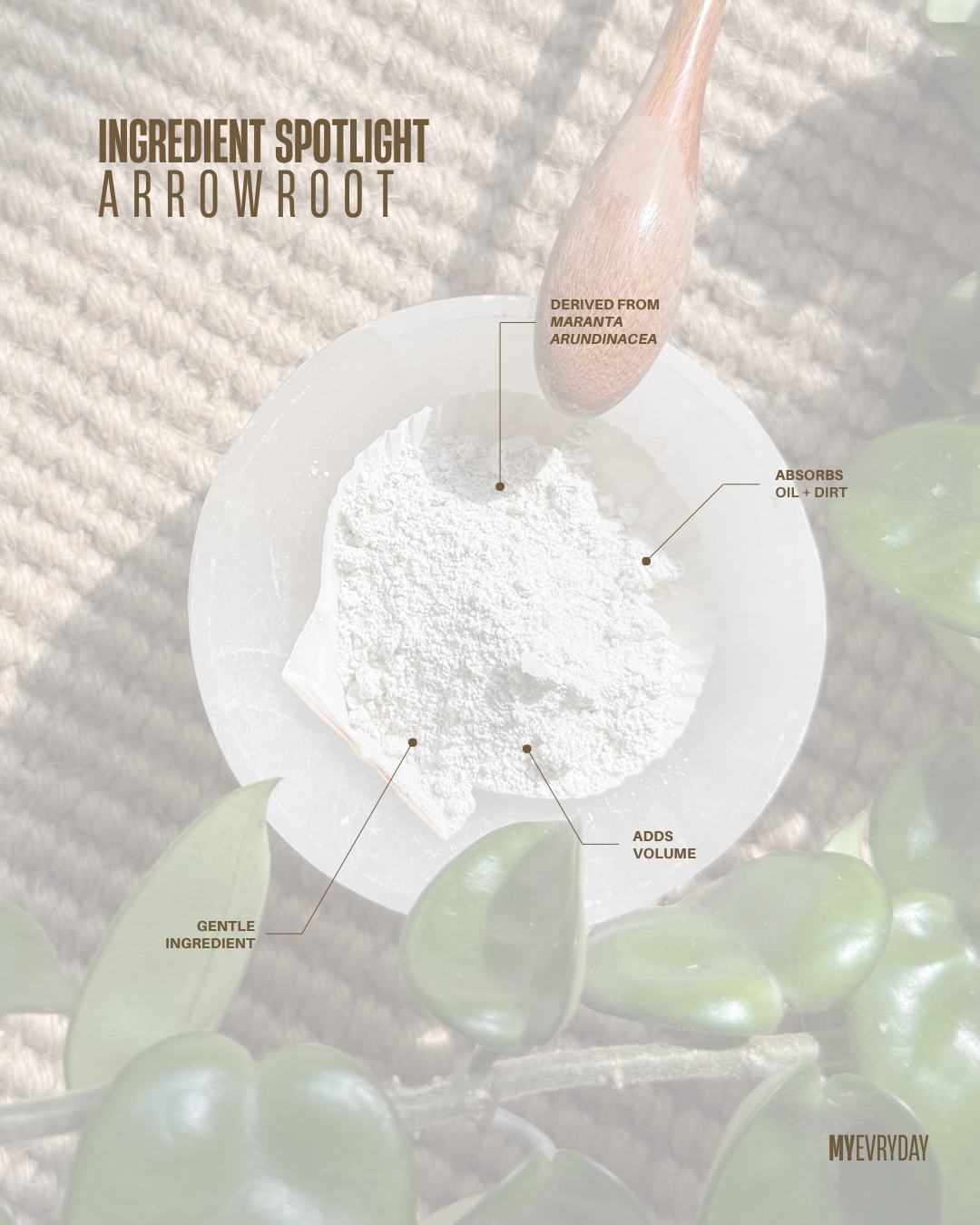 Ingredients - 2.png