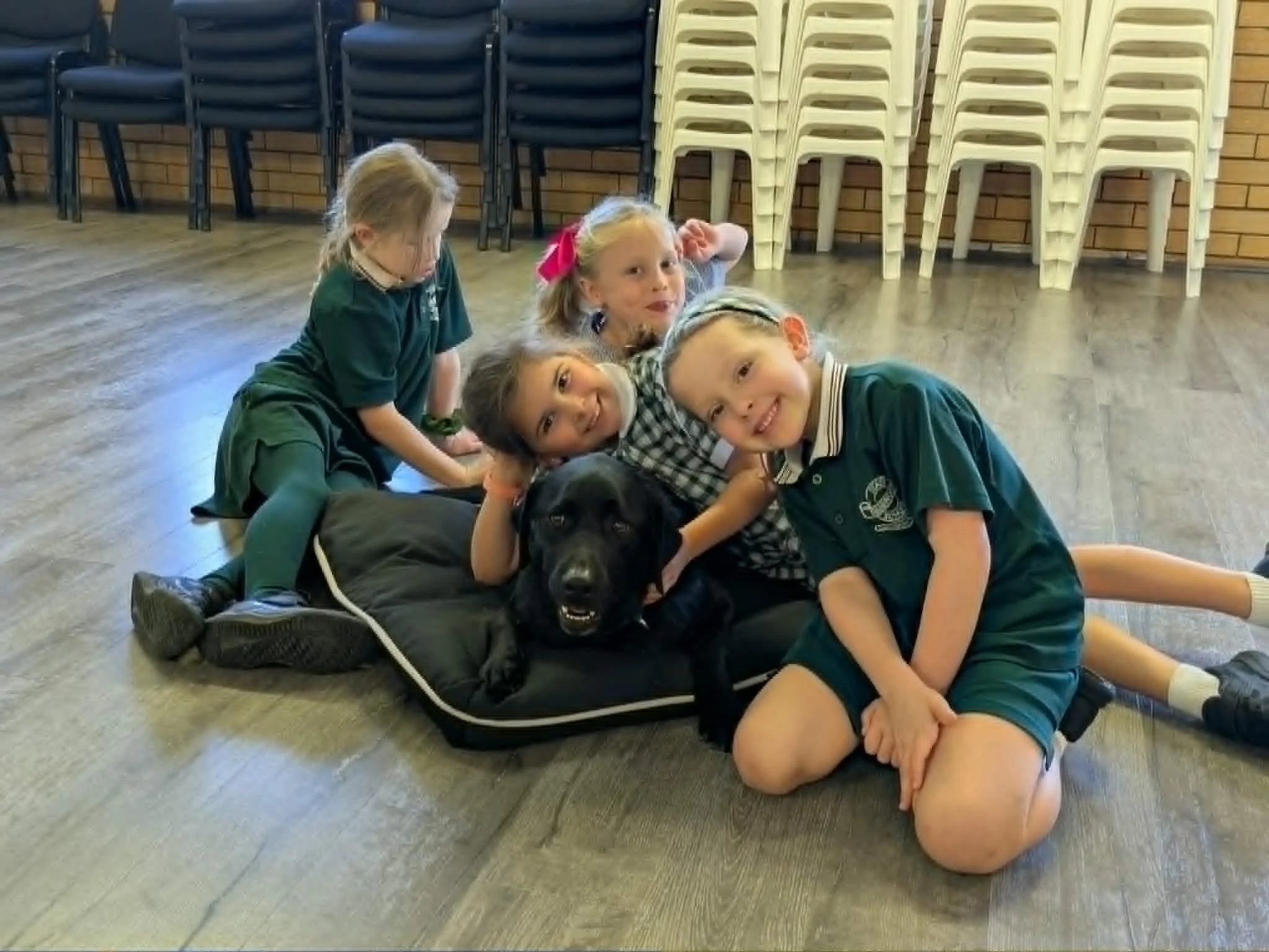 Meet Babushka, Play on Stage’s Social and Emotional Wellbeing Dog
