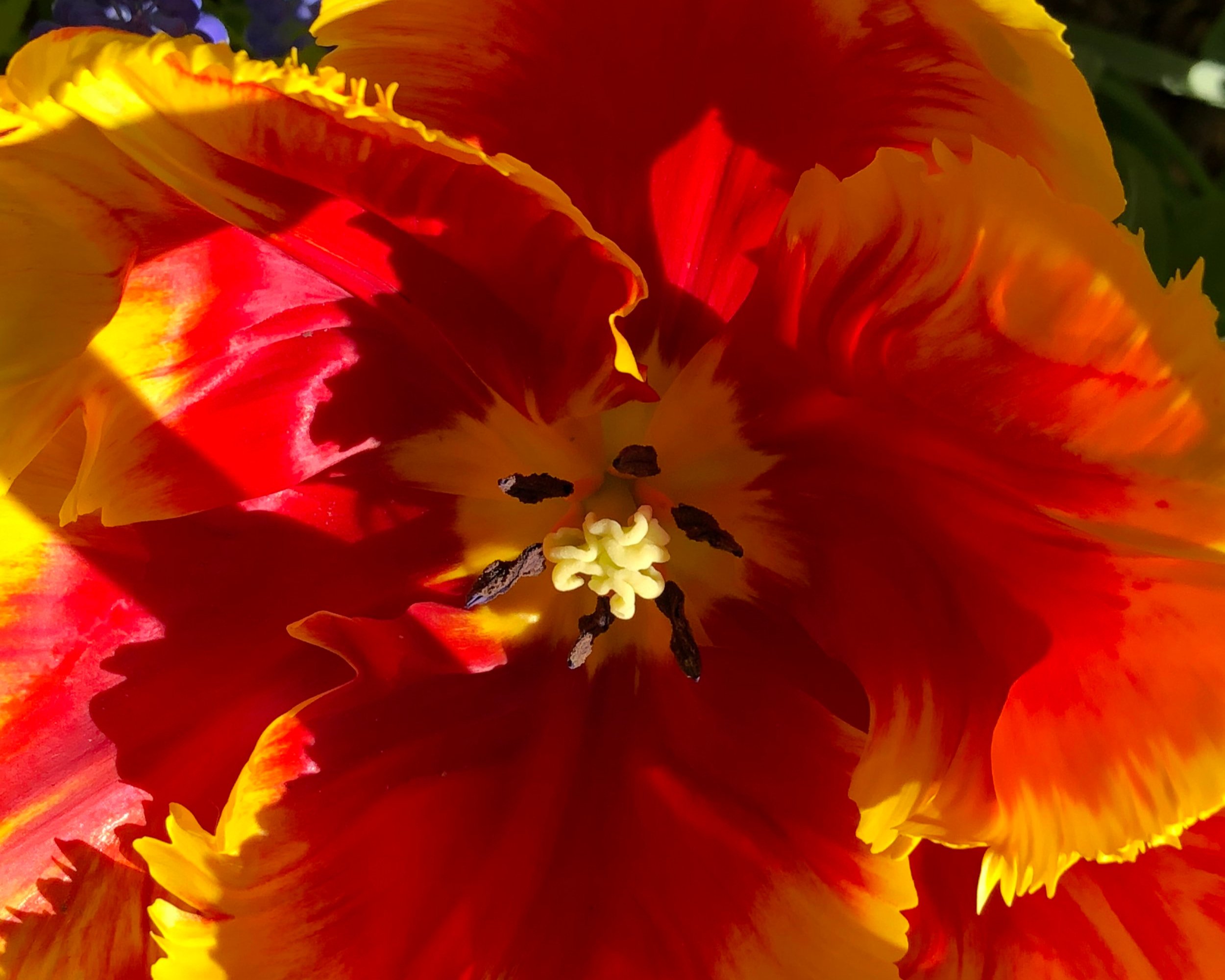 What to do in Taurus Season