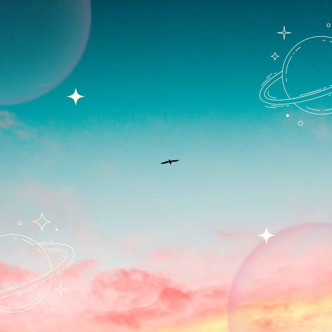 Winter Reset Website.png