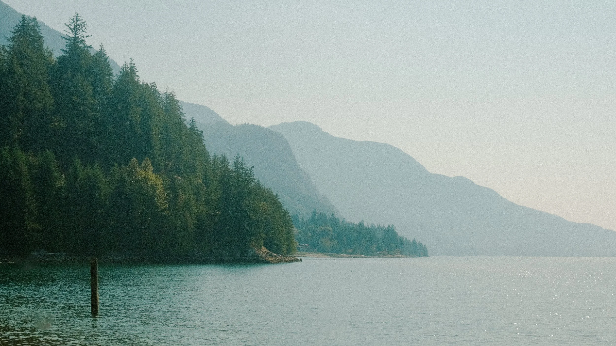 A calm lake with a shoreline lined by dense evergreen trees and misty mountains in the background under a clear sky.