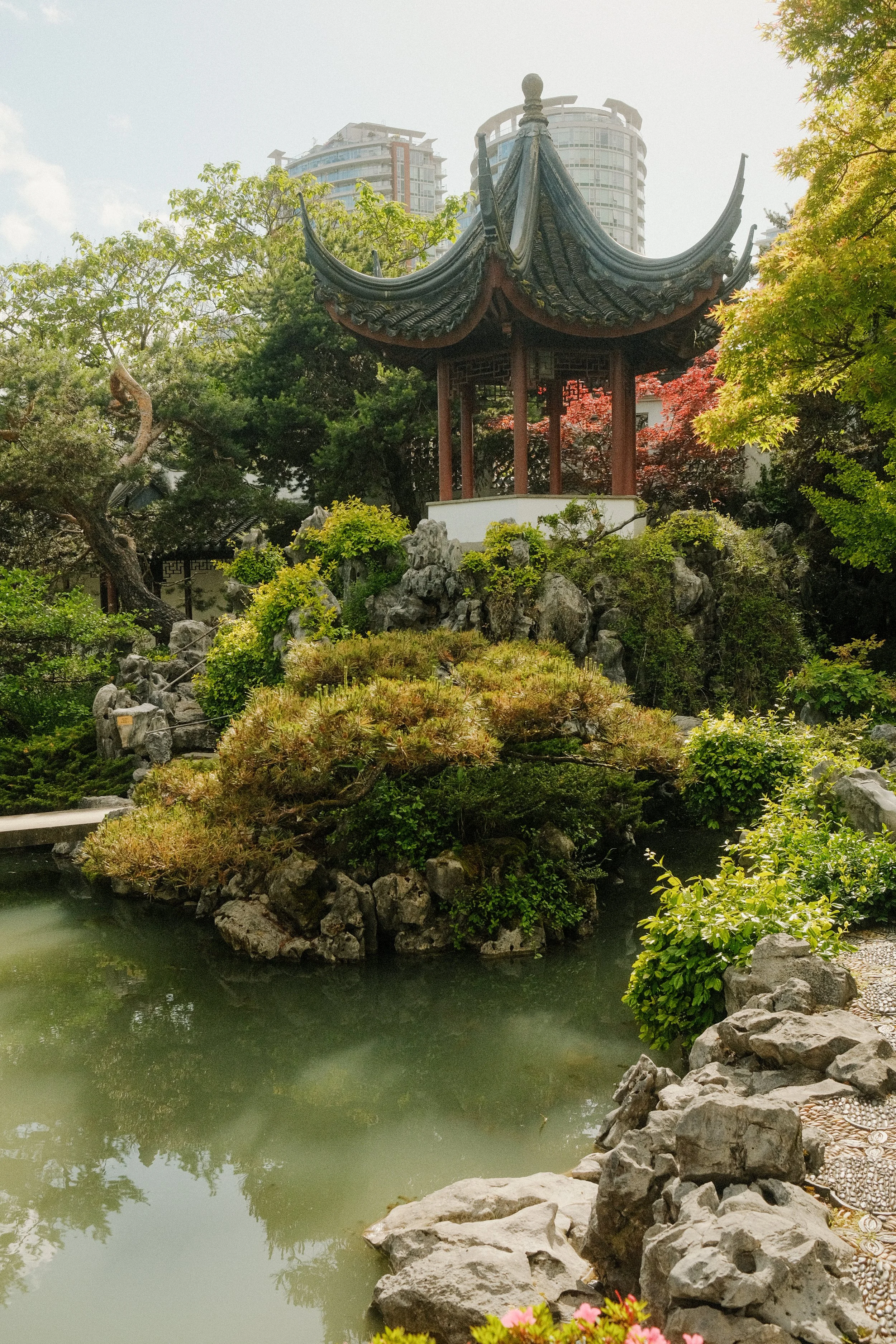 Traditional Chinese-style pavilion in a lush garden with a pond and rocks, against a backdrop of modern high-rise buildings.
