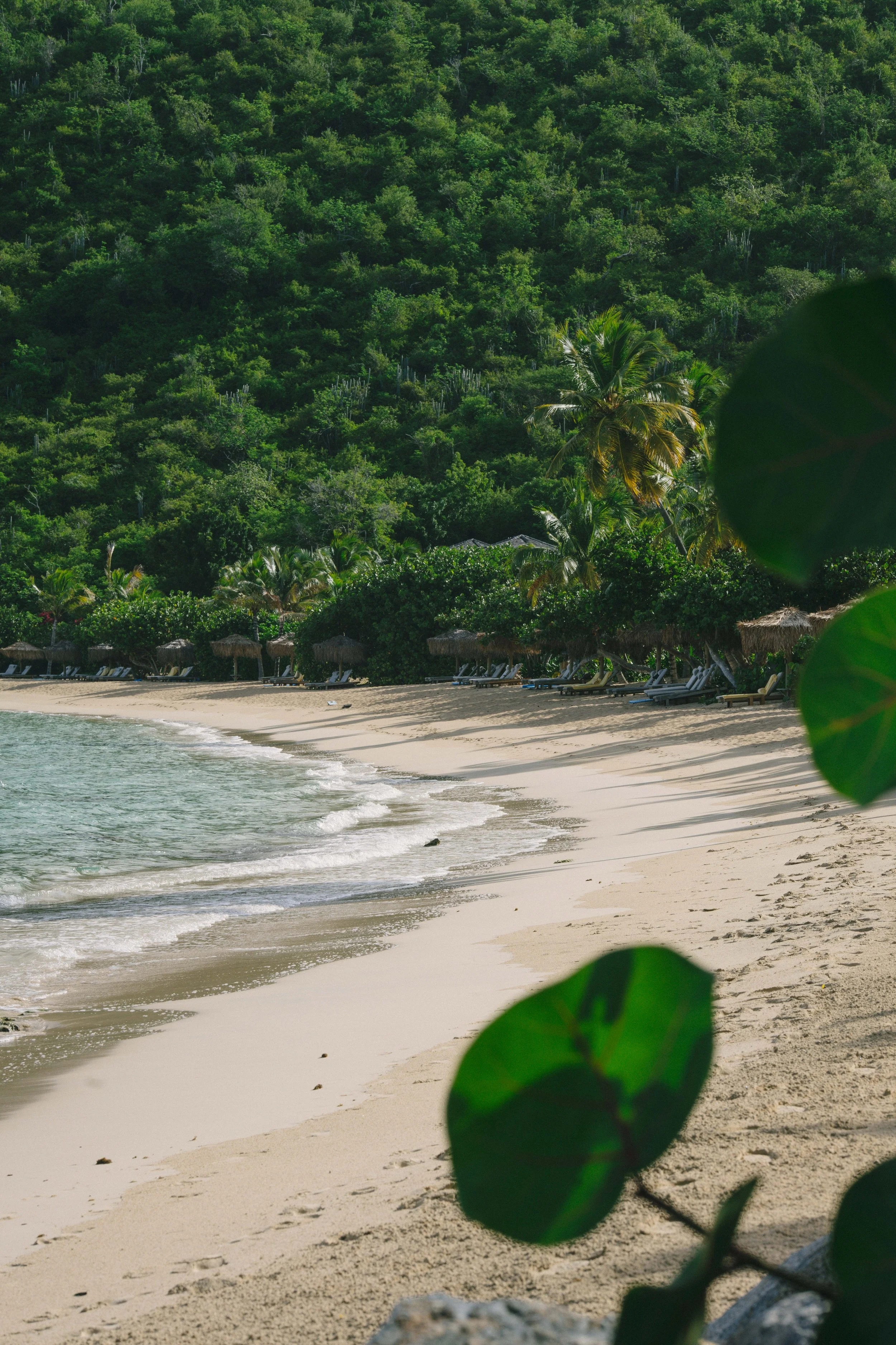 A tropical beach with white sand, clear water, palm trees, shaded beach chairs, and lush green hills in the background.