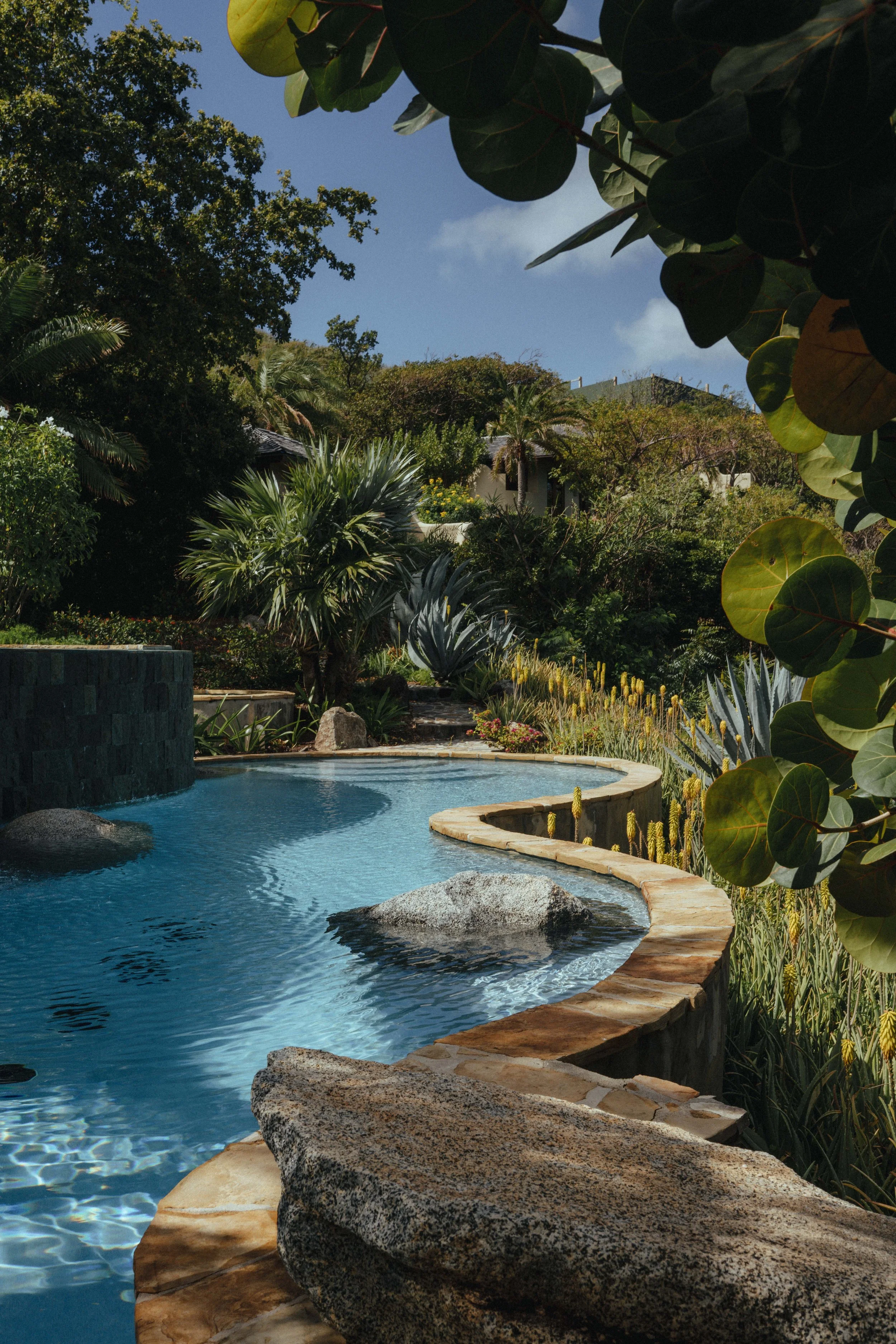 A serene backyard with a swimming pool surrounded by lush tropical plants and trees under a partly cloudy sky.