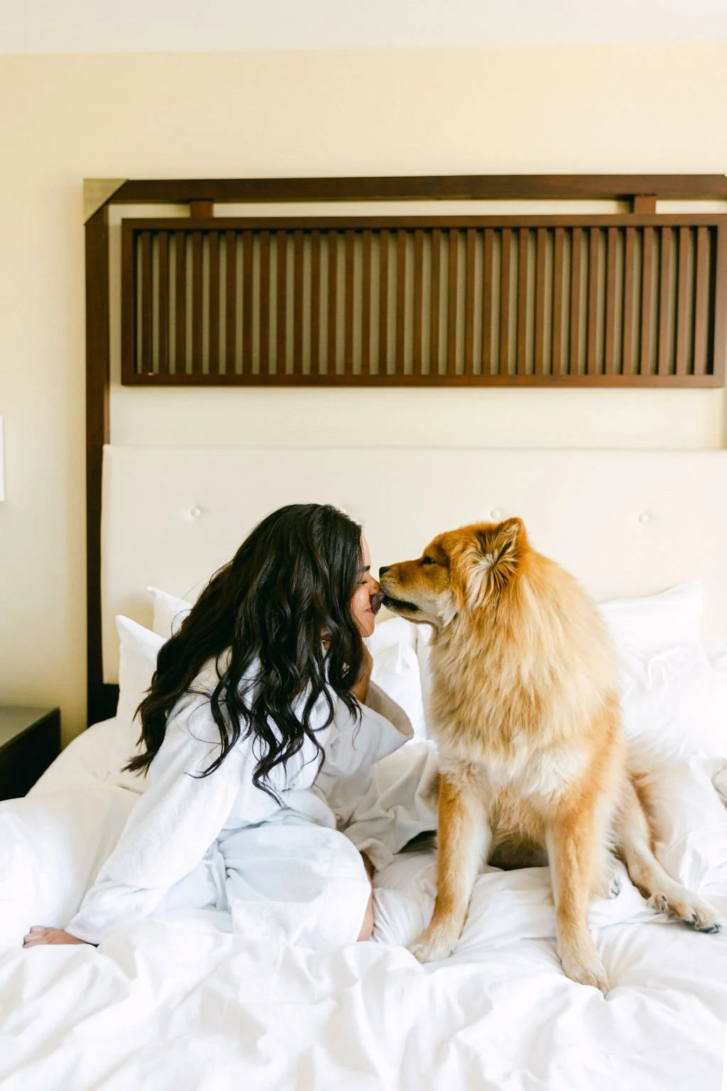 A woman and a large golden retriever dog touching noses on a bed in a hotel room.