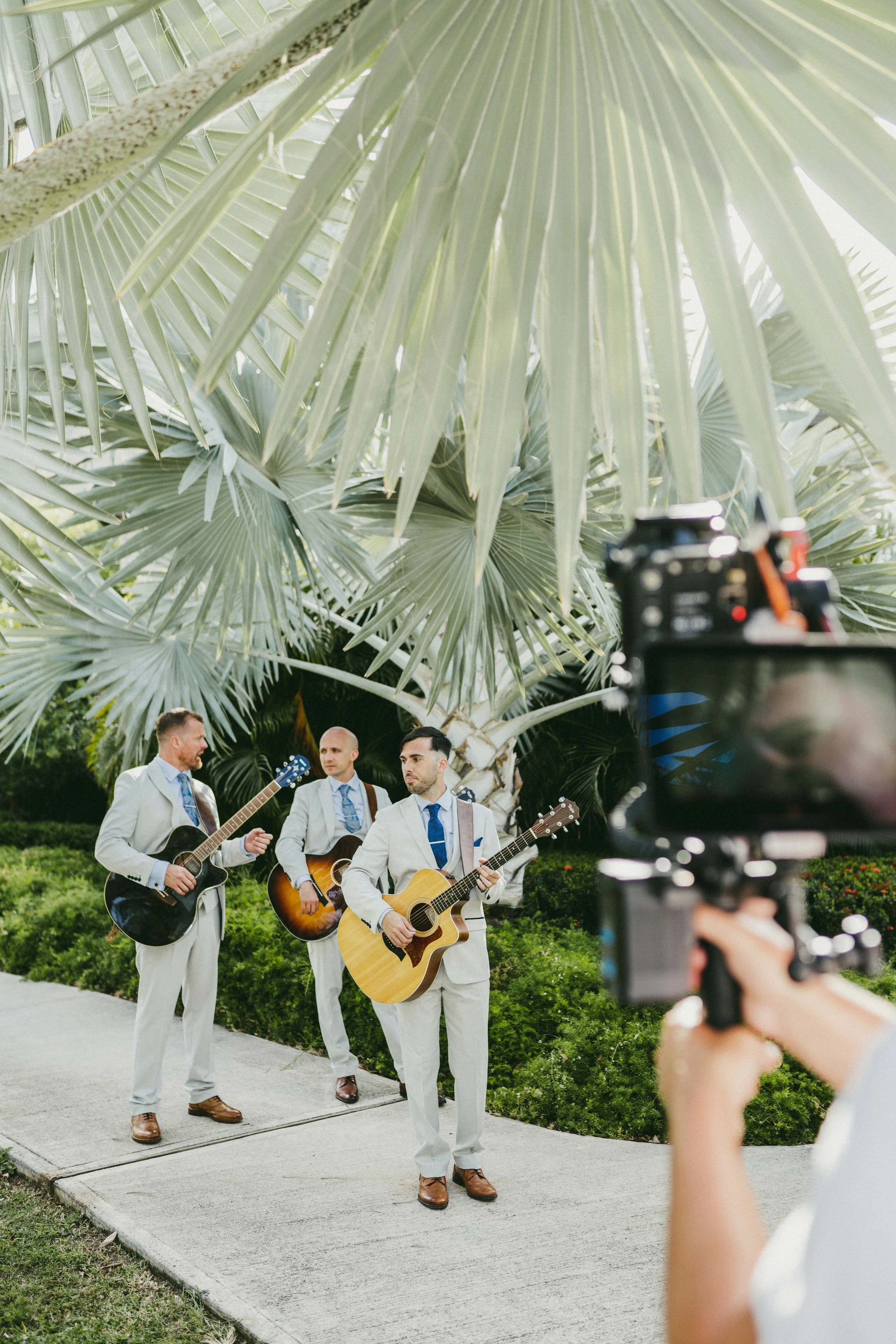 Three men in light-colored suits and blue ties playing acoustic guitars outdoors under large green palm leaves.