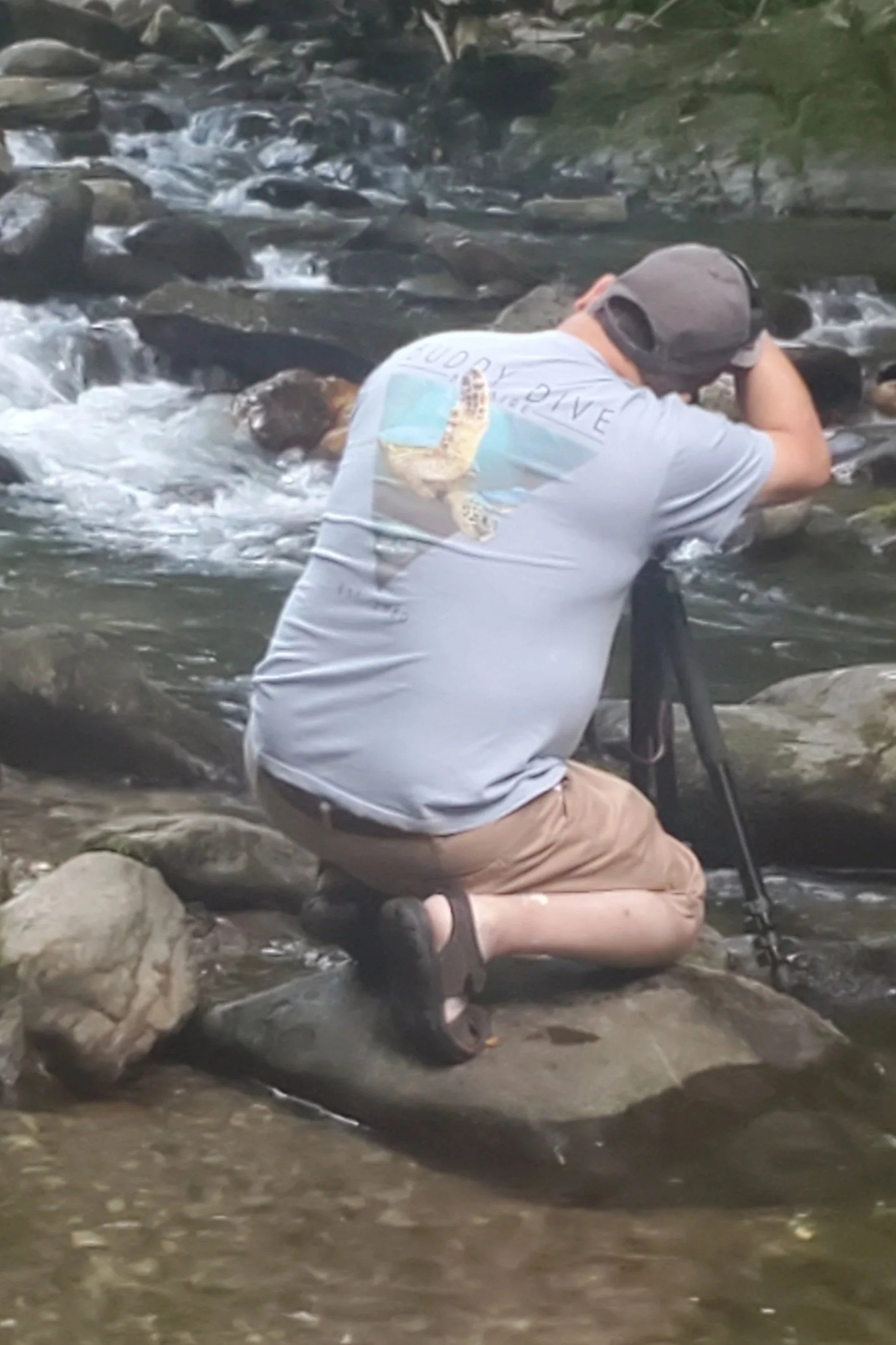 A person kneeling on rocks by a stream, taking a photograph with a tripod, wearing a gray t-shirt with a lizard graphic on the back, khaki shorts, and sandals. The stream has rocks and flowing water.