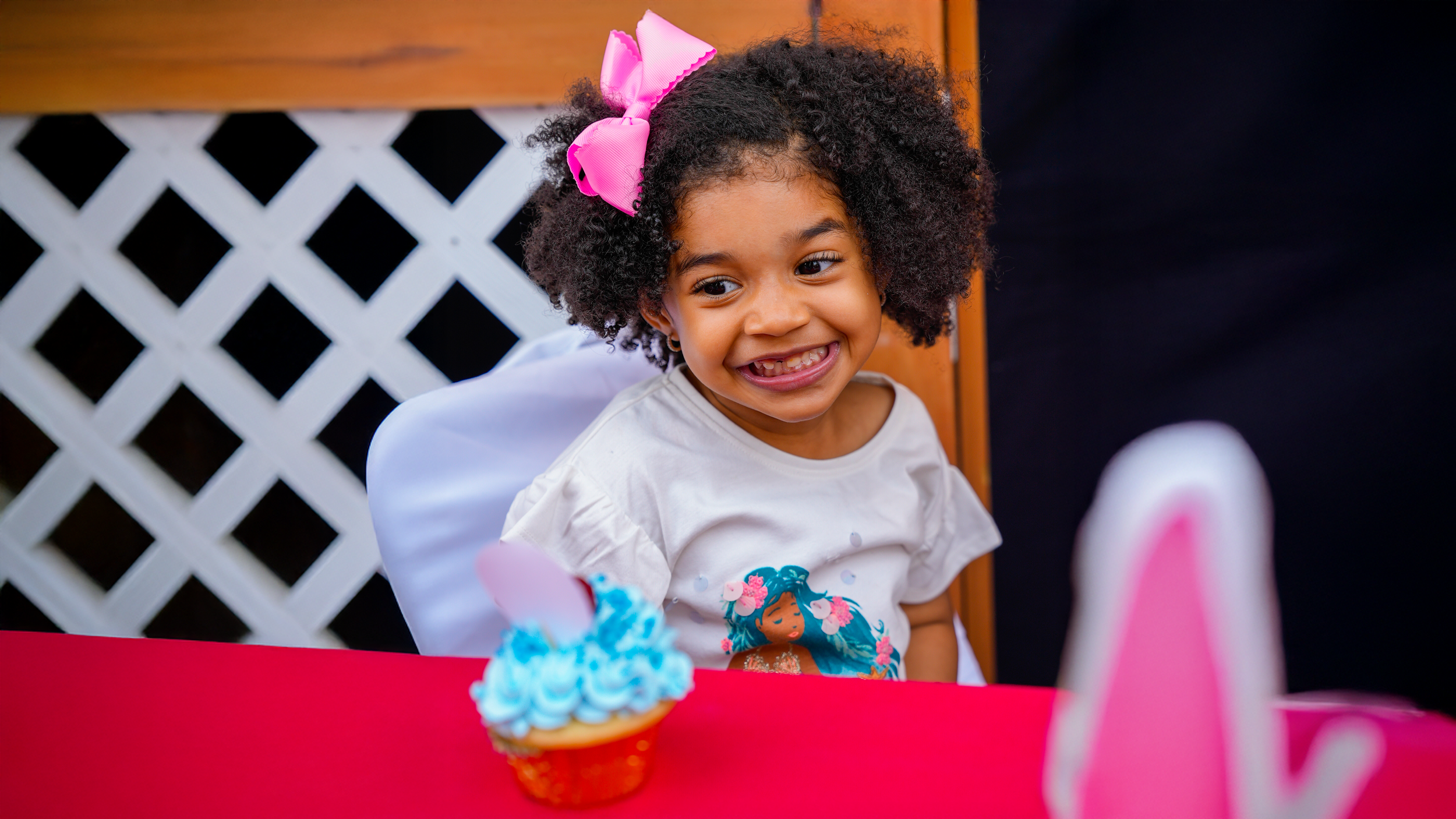 Birthday Parties & Milestones
