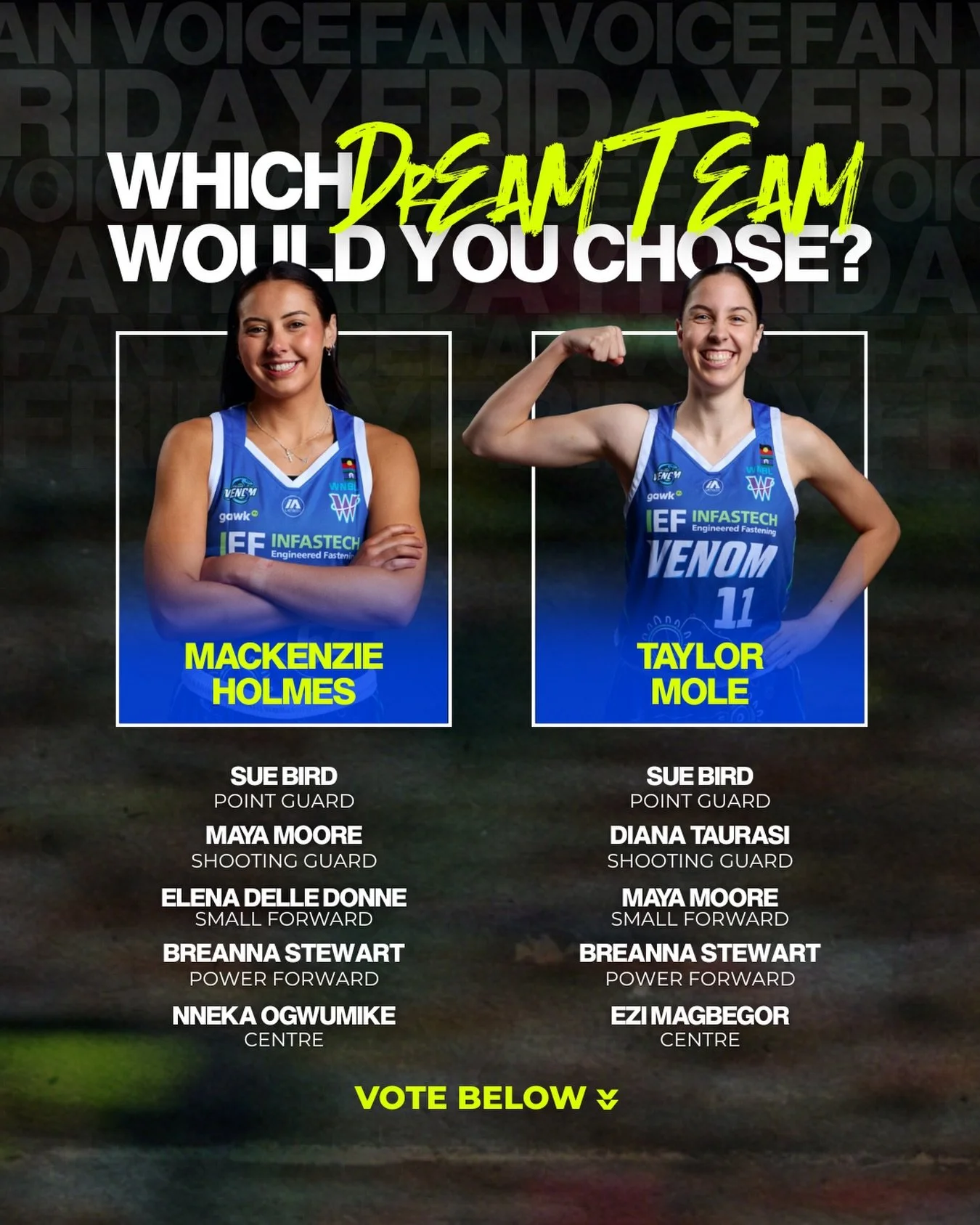 Which dream team would you choose?? 💙🔓 #ITSPORTS #ITSPORTSBasketball #ITFACTOR #dreamteam #geelongvenom #basketball