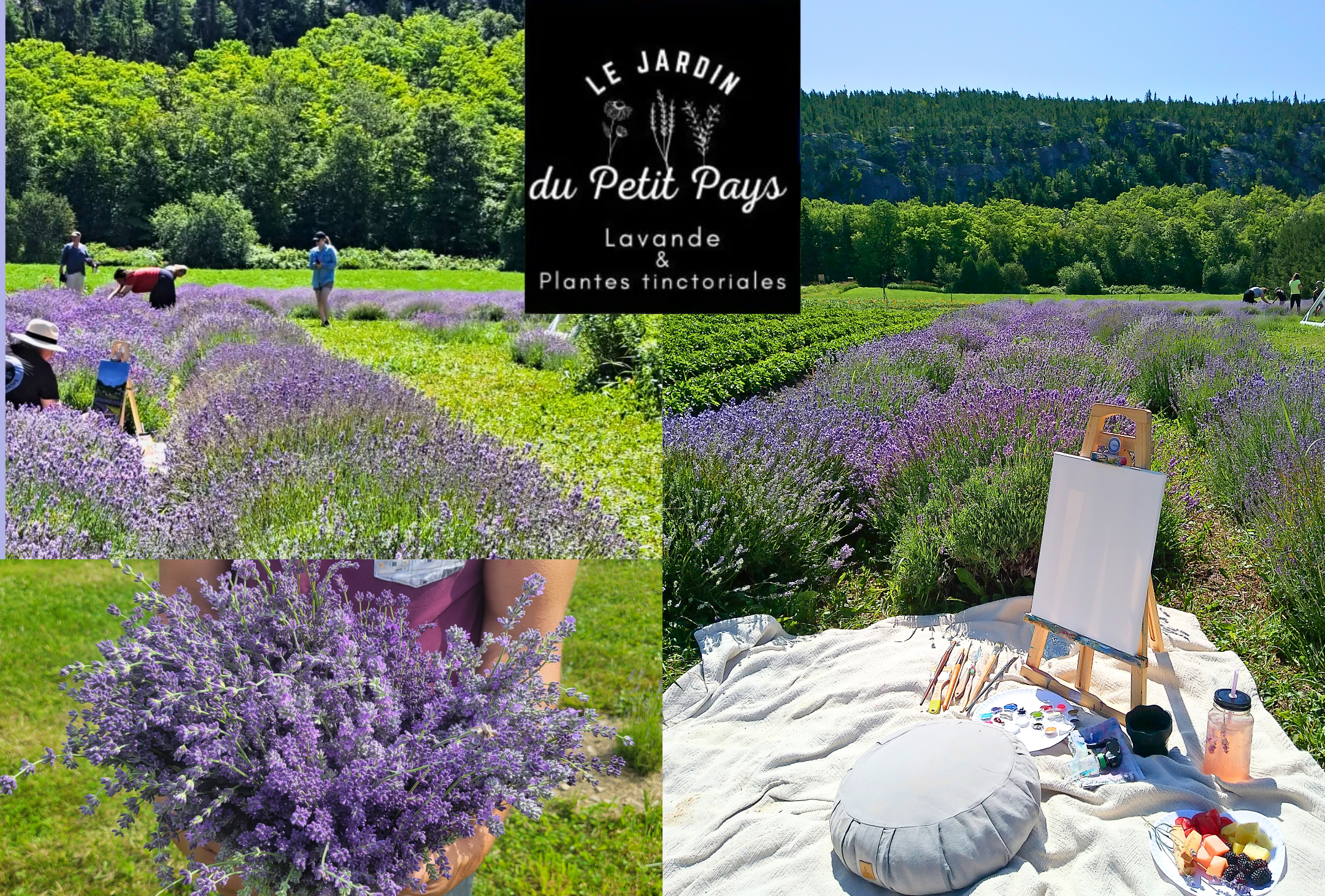 Atelier de peinture à l'acrylique dans la lavanderais