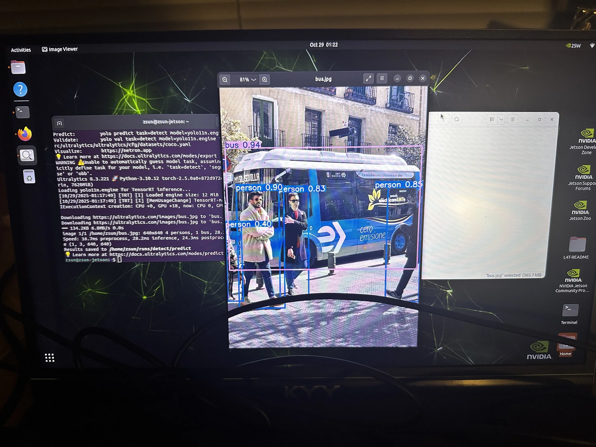 Initial static image YOLOV11 test