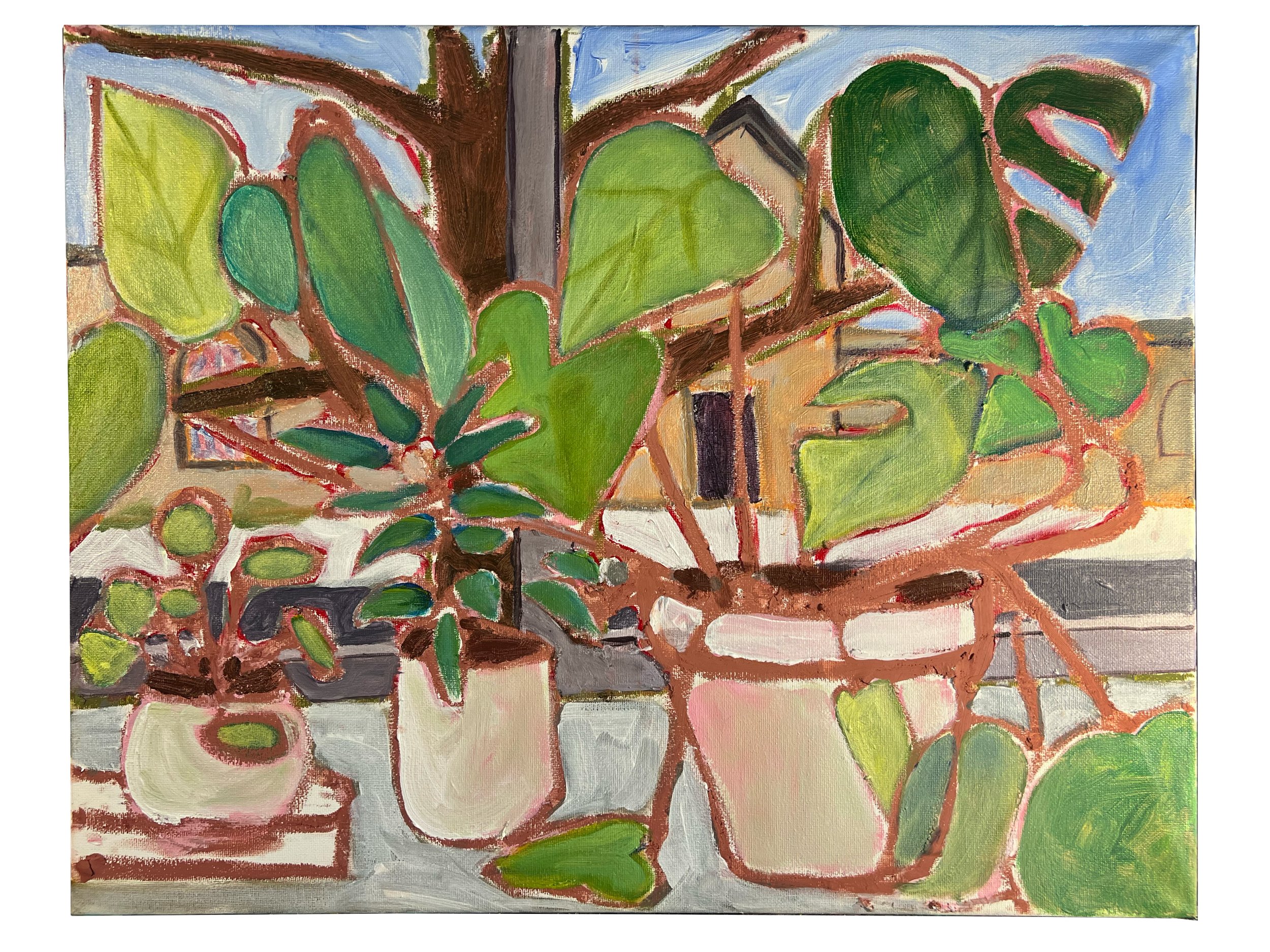 windowsill.jpg