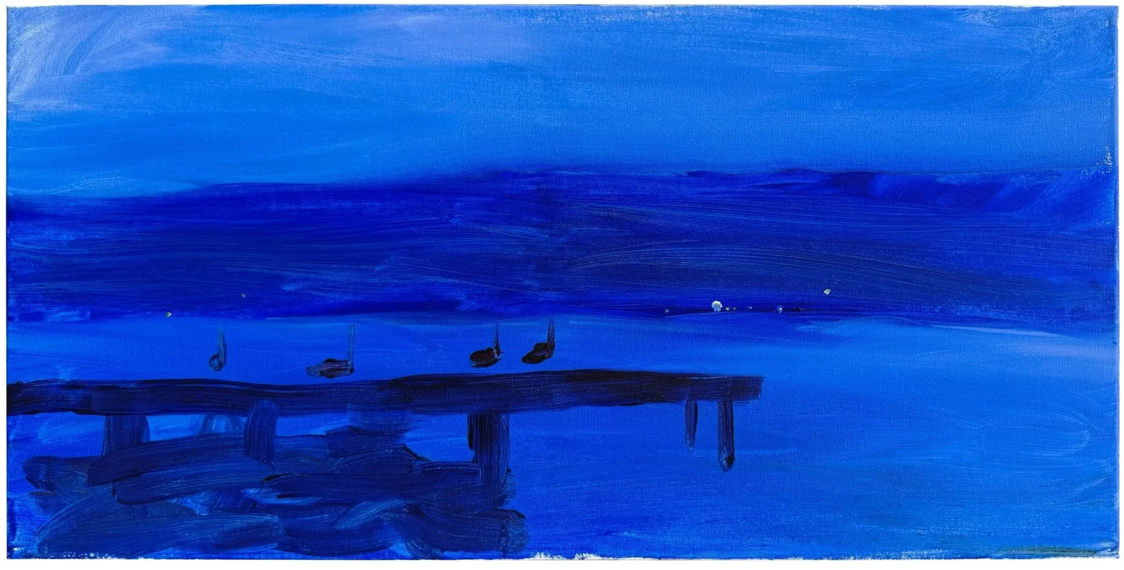 Summer Night Cayuga Lake