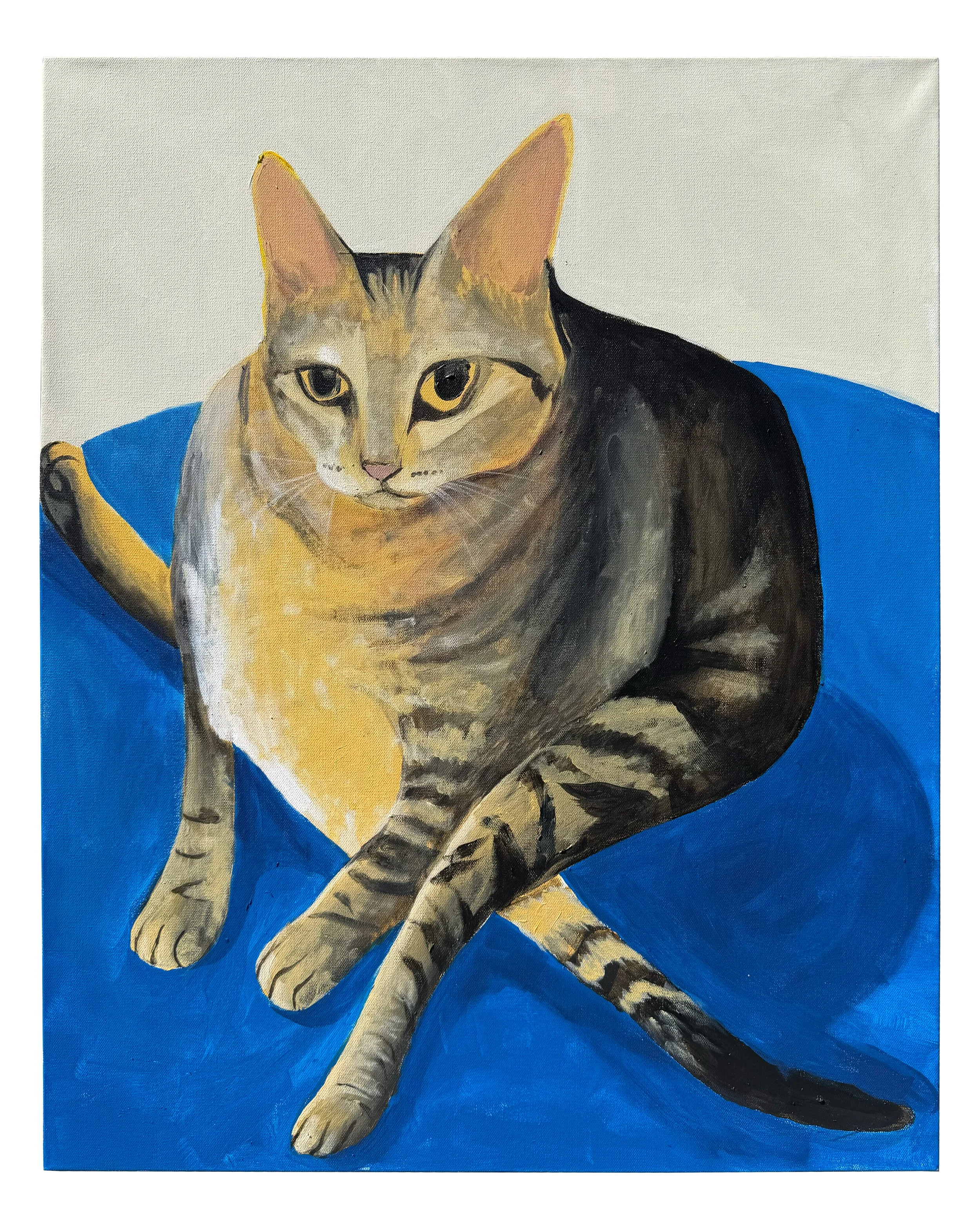 pauls cat w.jpg