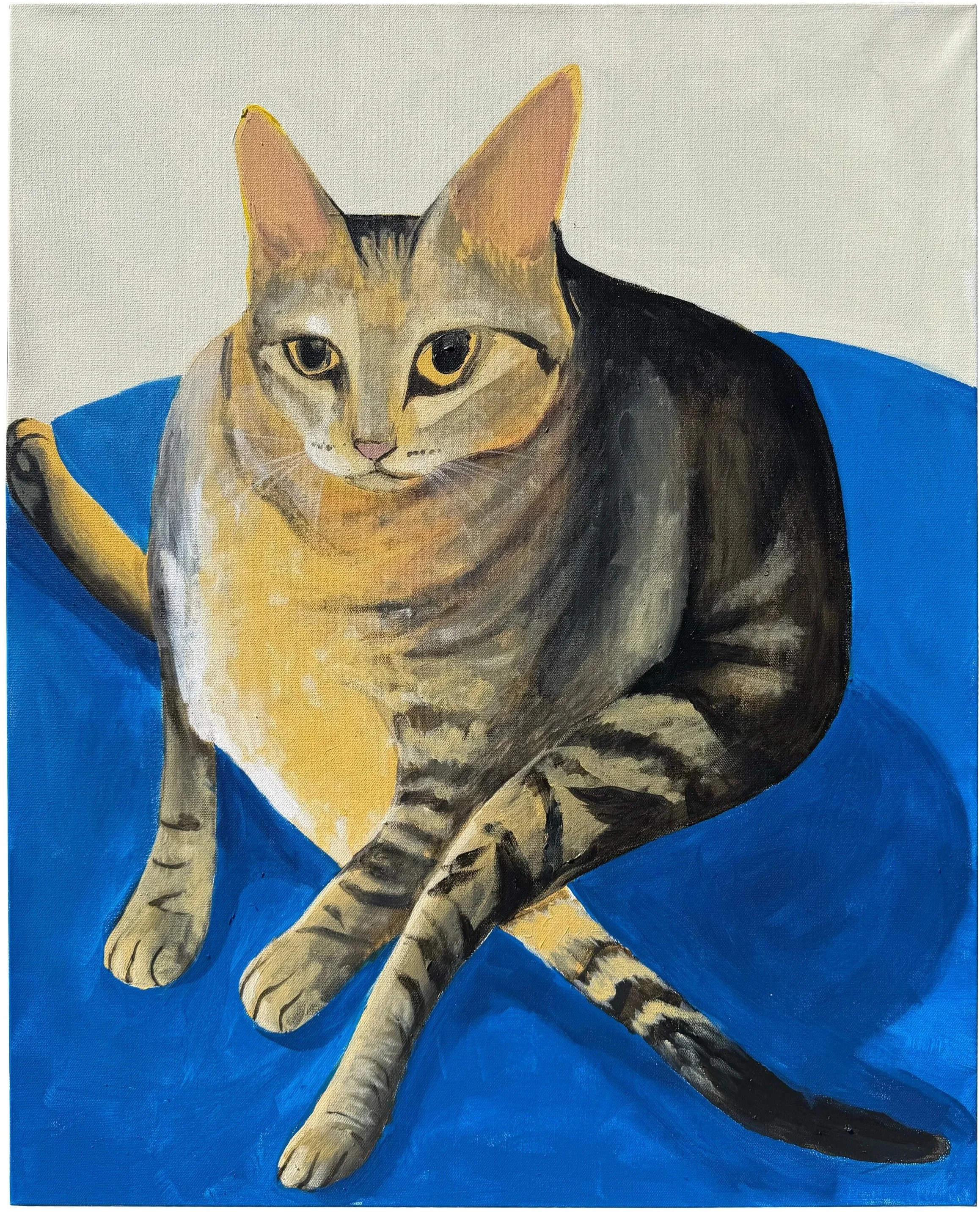 Pauls Cat