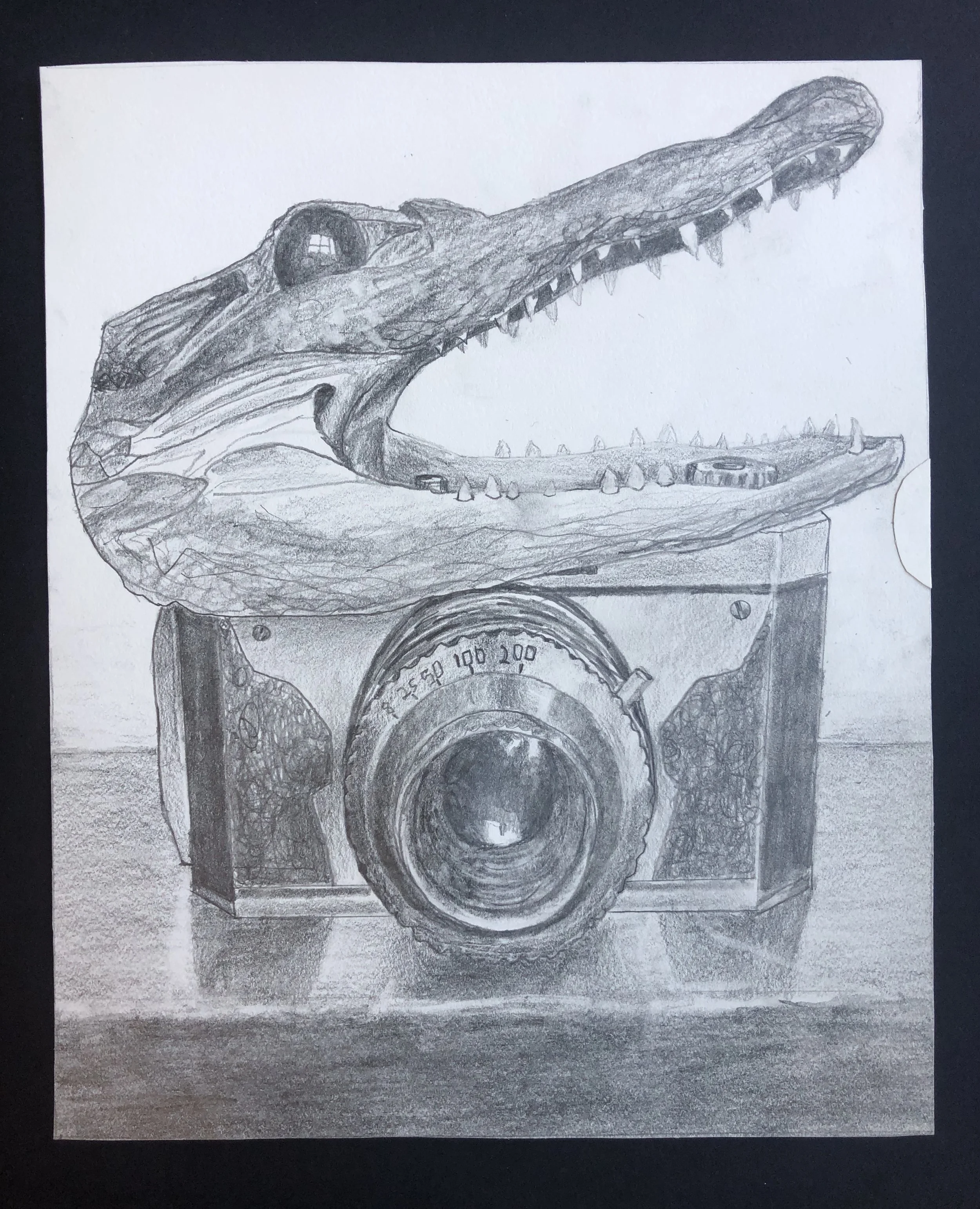 Still Life 2