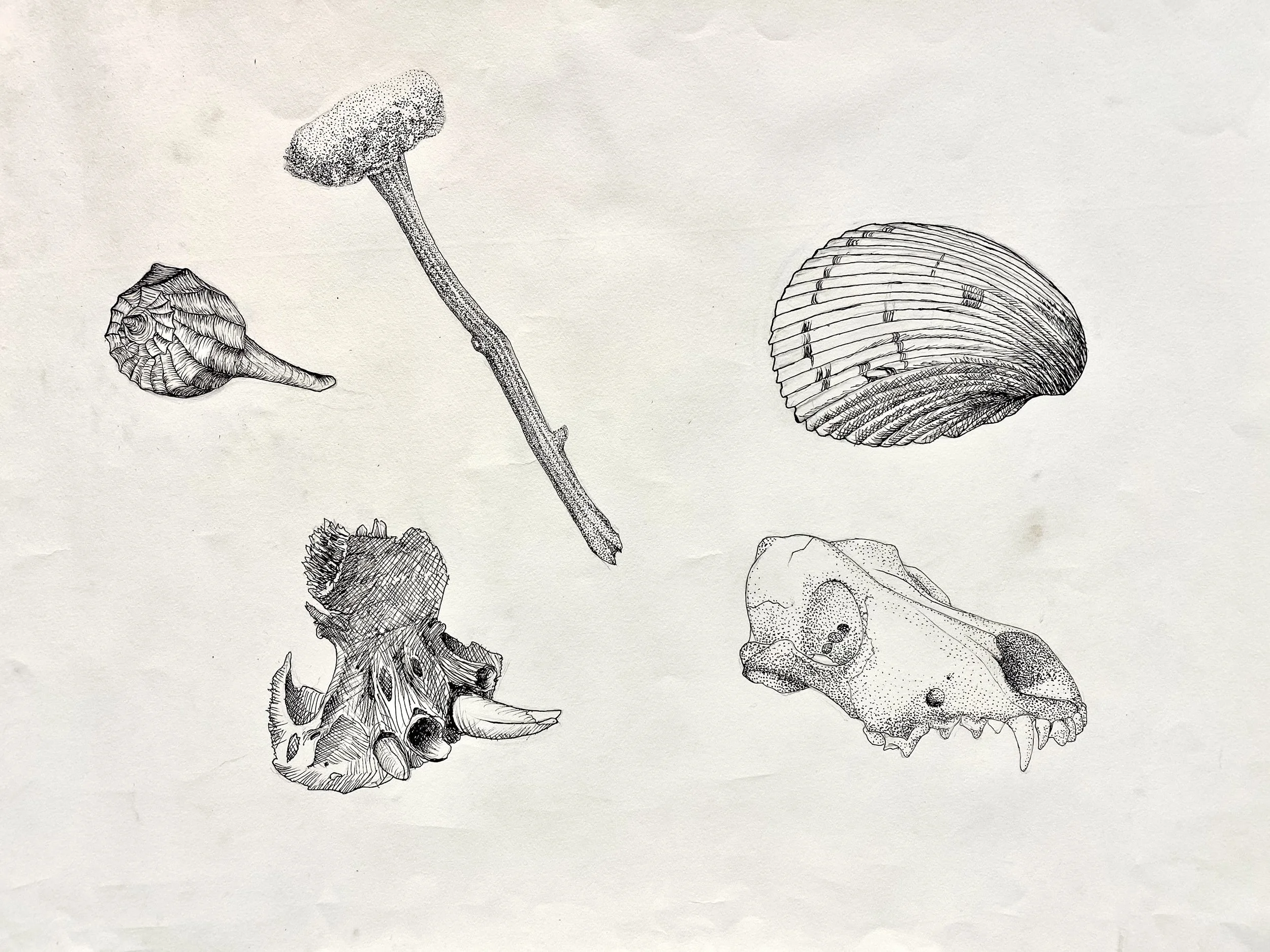 Micron Drawing
