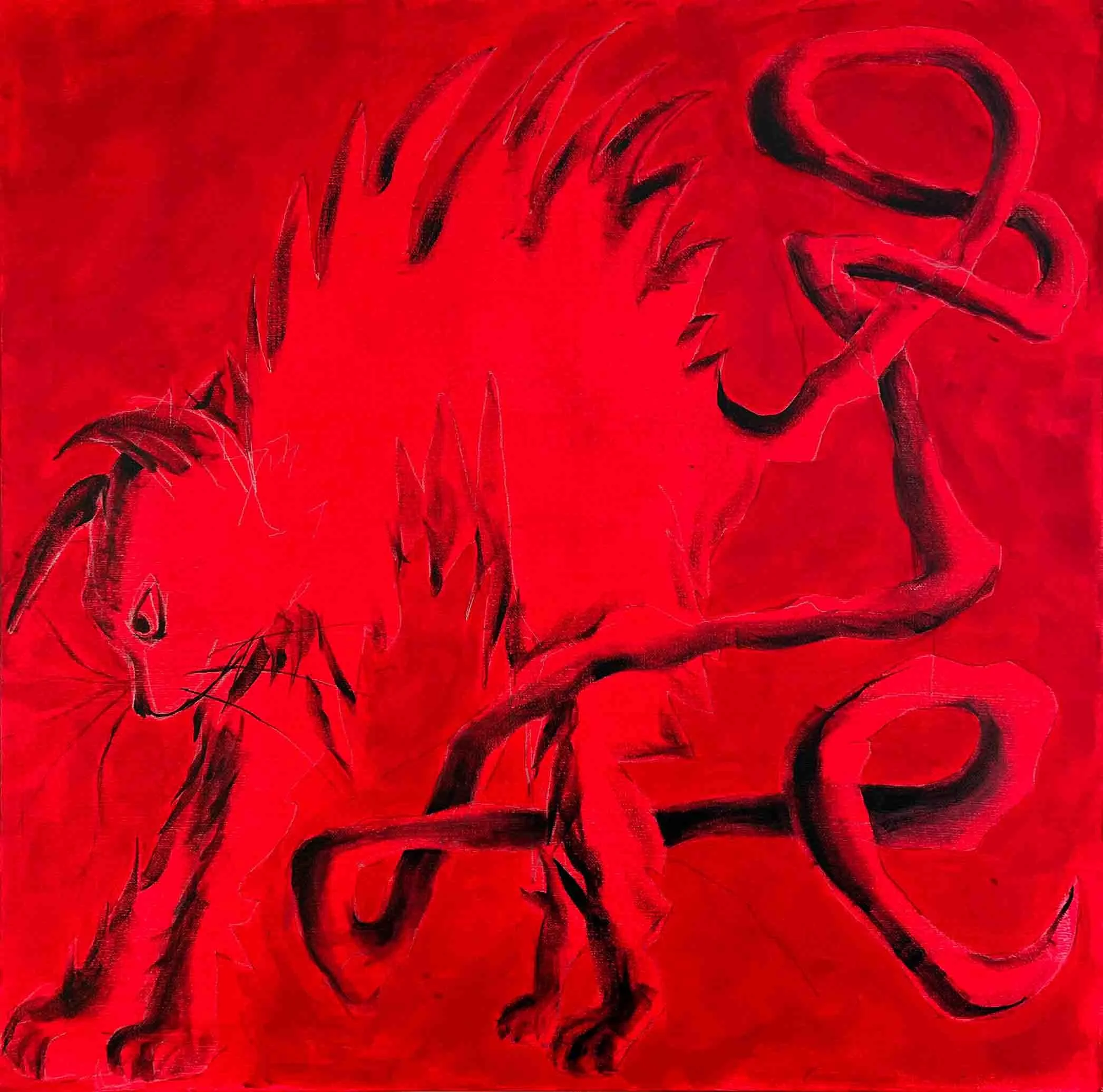 red cat tiny file.jpg