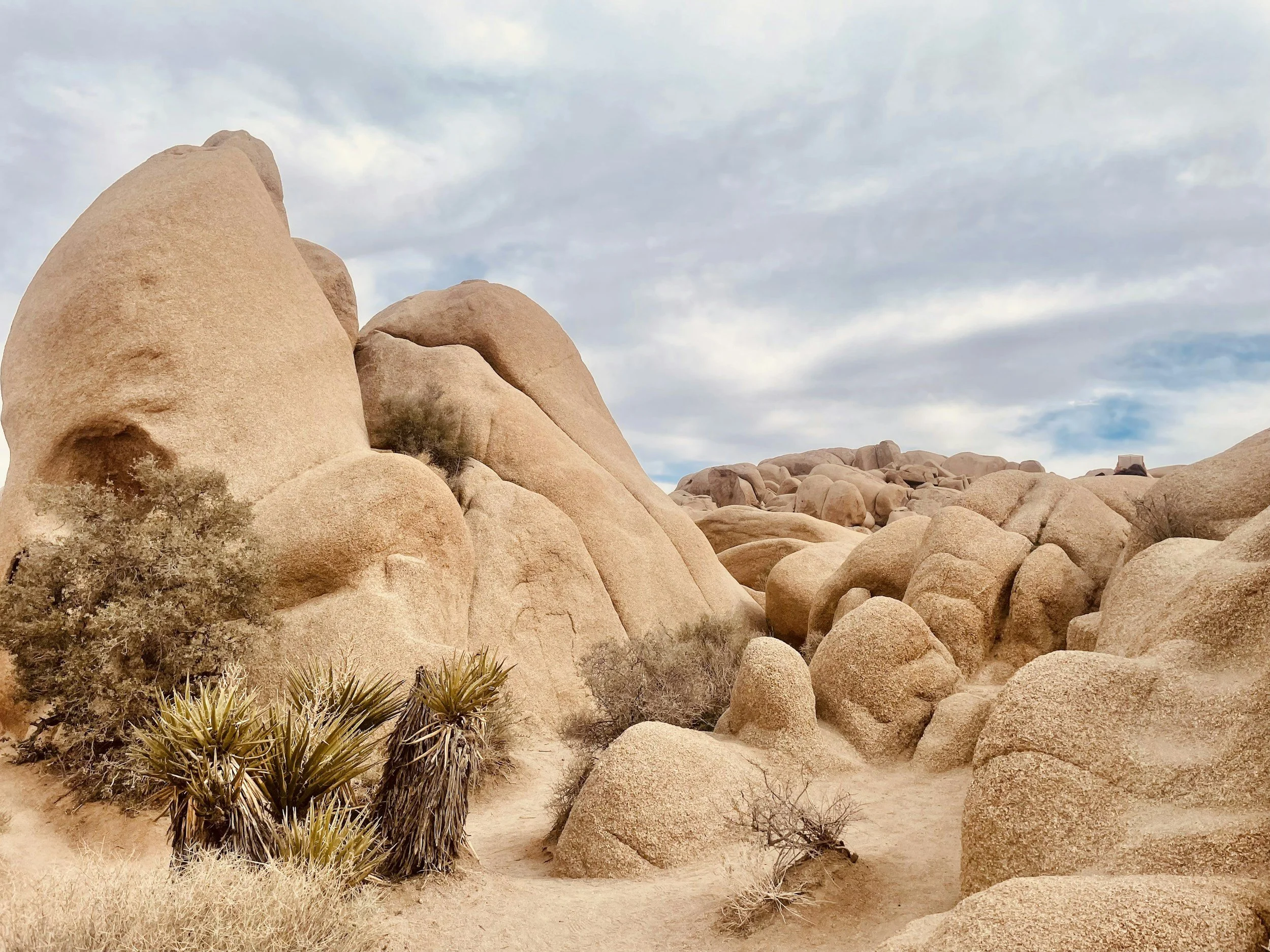 Expanding Your Capacity Retreat