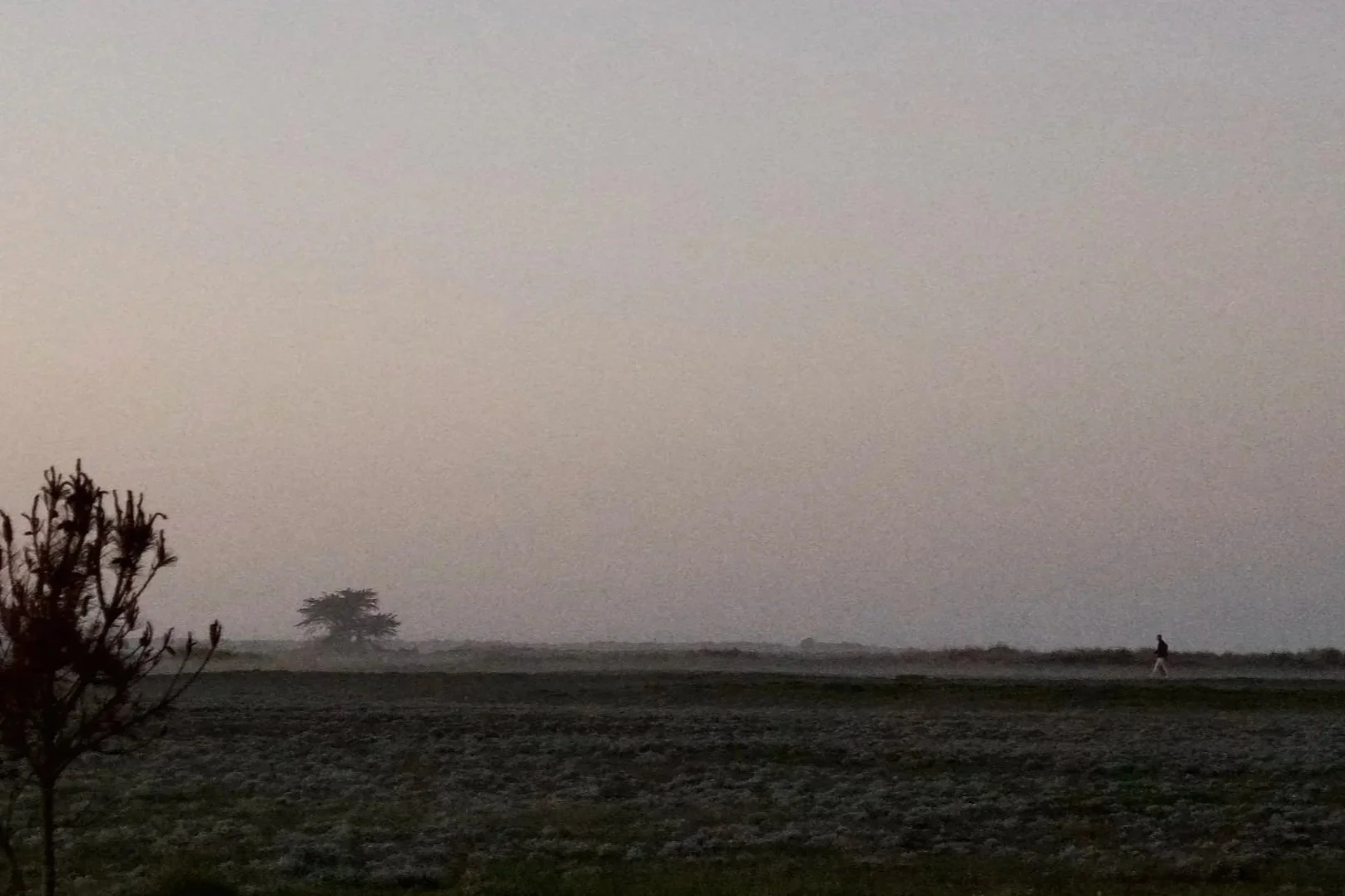 A landscape with a tree on the left, a solitary figure walking on a path to the right, and a mostly gray and pinkish sky overhead.