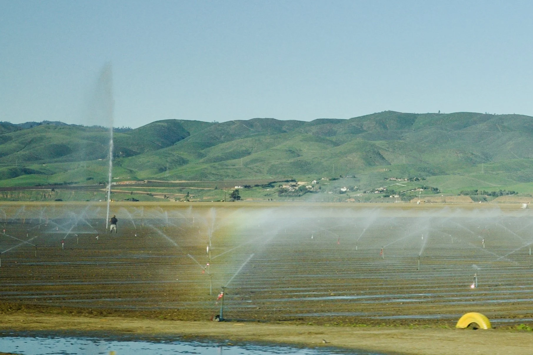 1767000553000_R0001823 2.jpeg