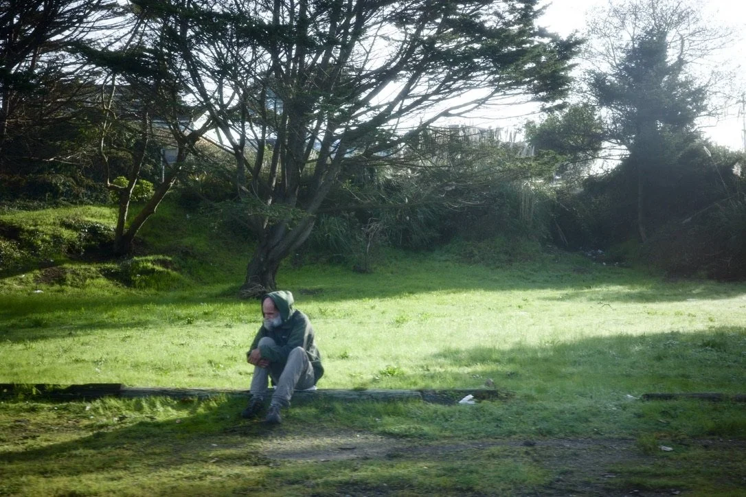 A person with a beard and gray hair, wearing a hoodie, sitting on the grass under a large tree in a park during daytime.
