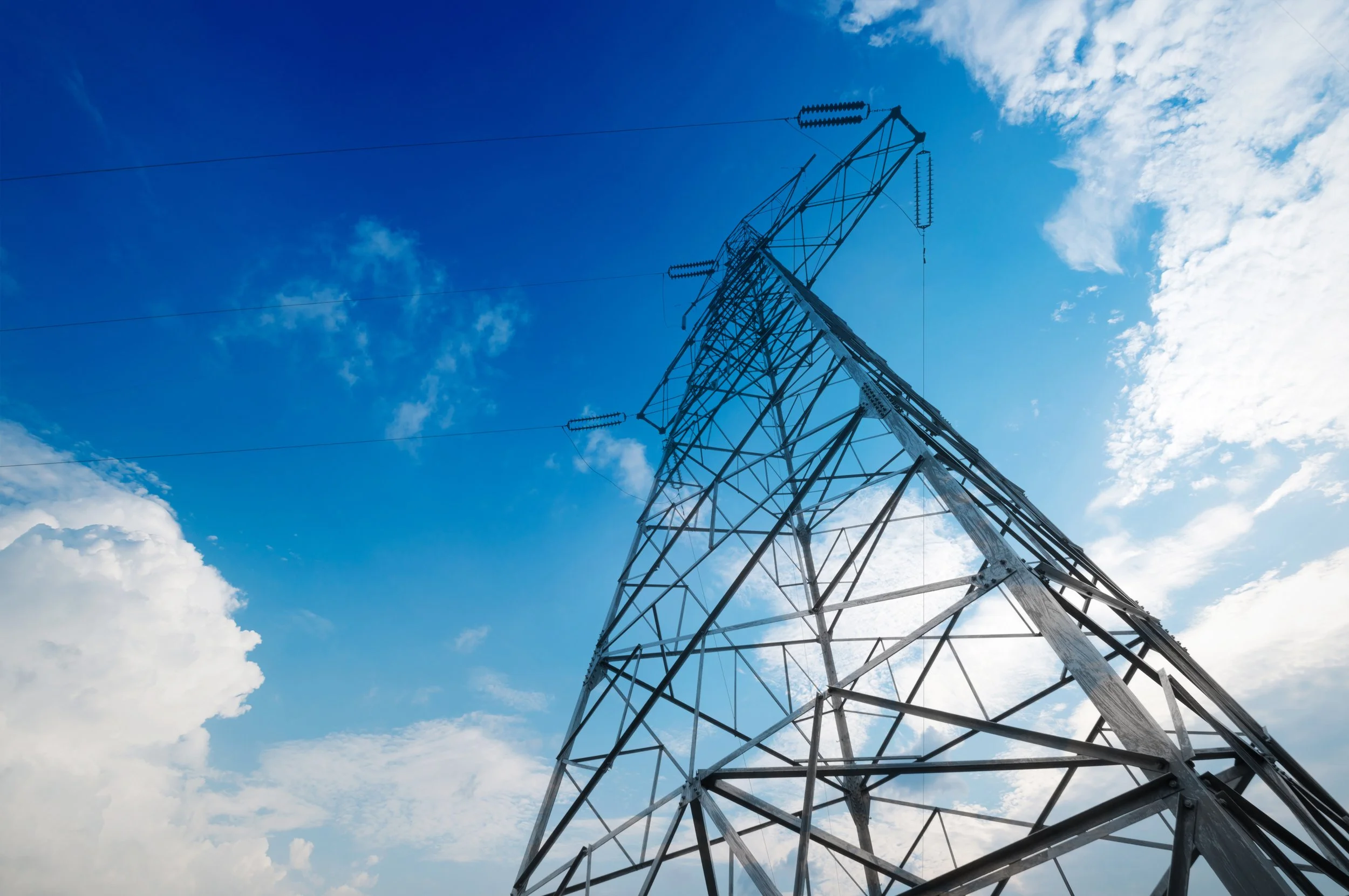 Page 2 Disclaimer .jpeg