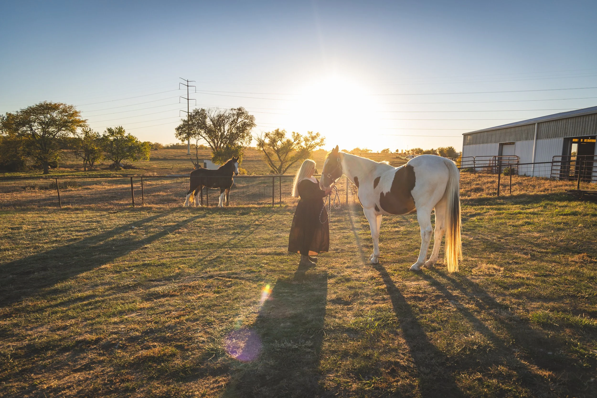 kansas-city-lifestyle-couples-session-horses-hunting-dogs18.jpg