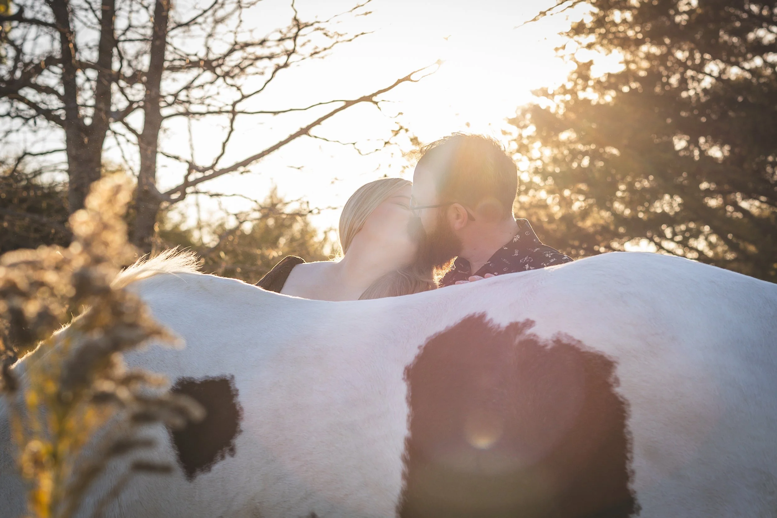 kansas-city-lifestyle-couples-session-horses-hunting-dogs3.jpg
