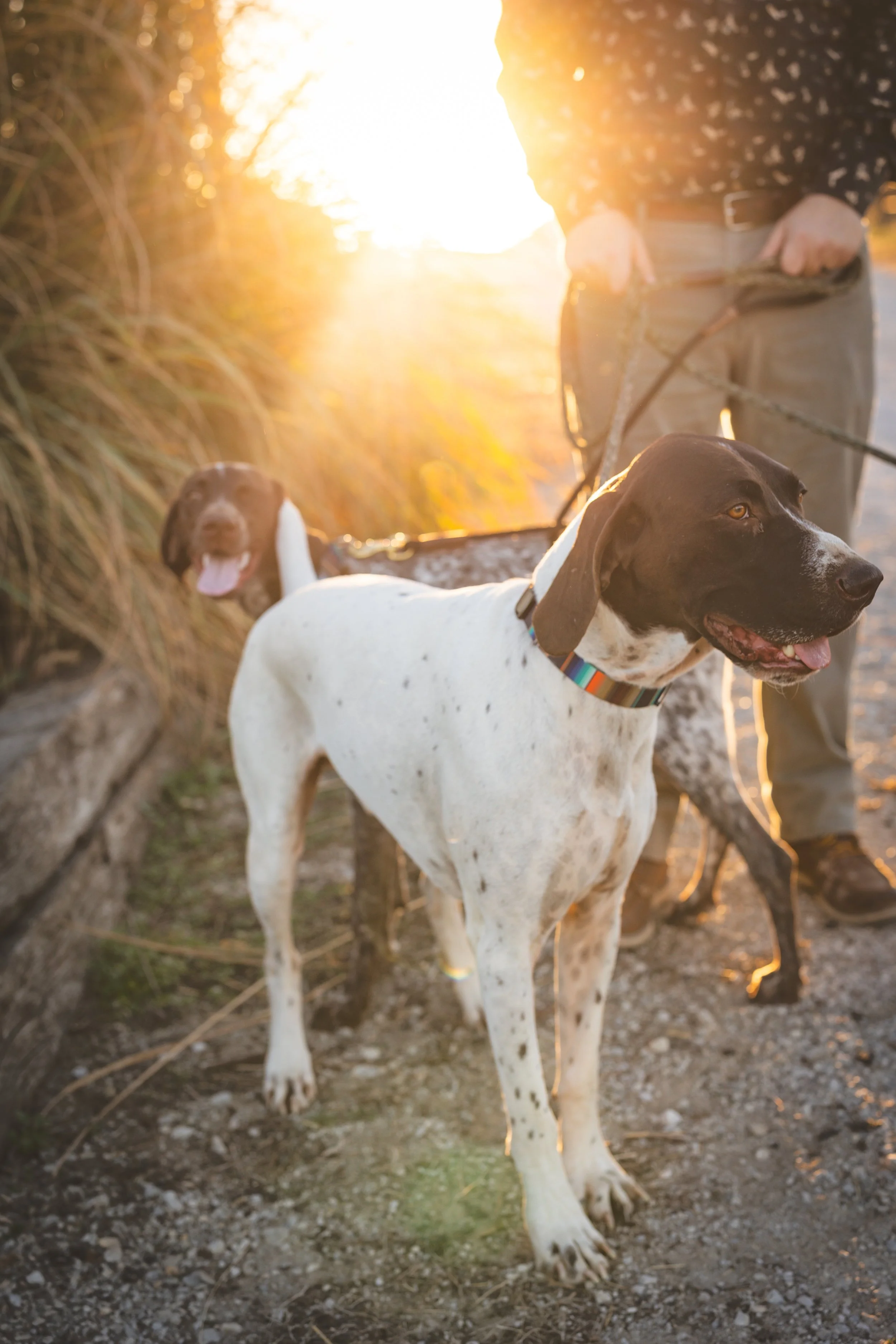 kansas-city-lifestyle-couples-session-horses-hunting-dogs15.jpg