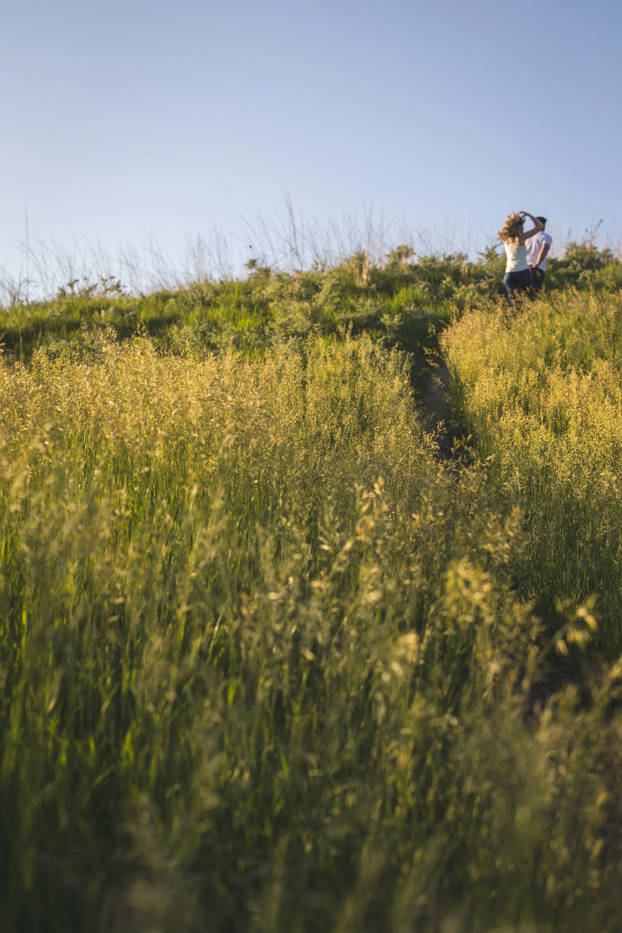 midwest-engagement-golden-hour-flower-fields23.jpg