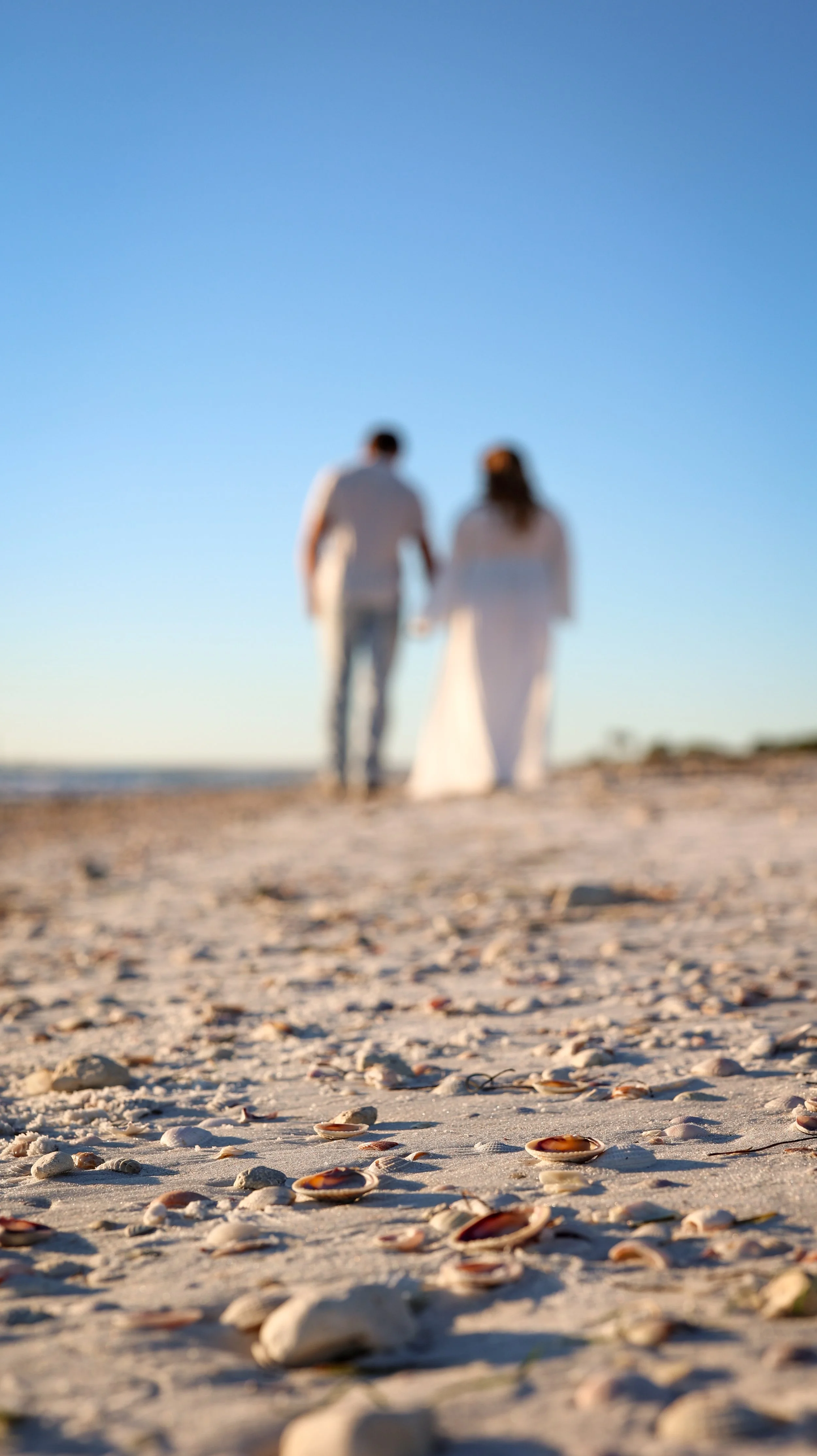 maternity-session-clearwater-beach-florida-golden-hour22.jpg