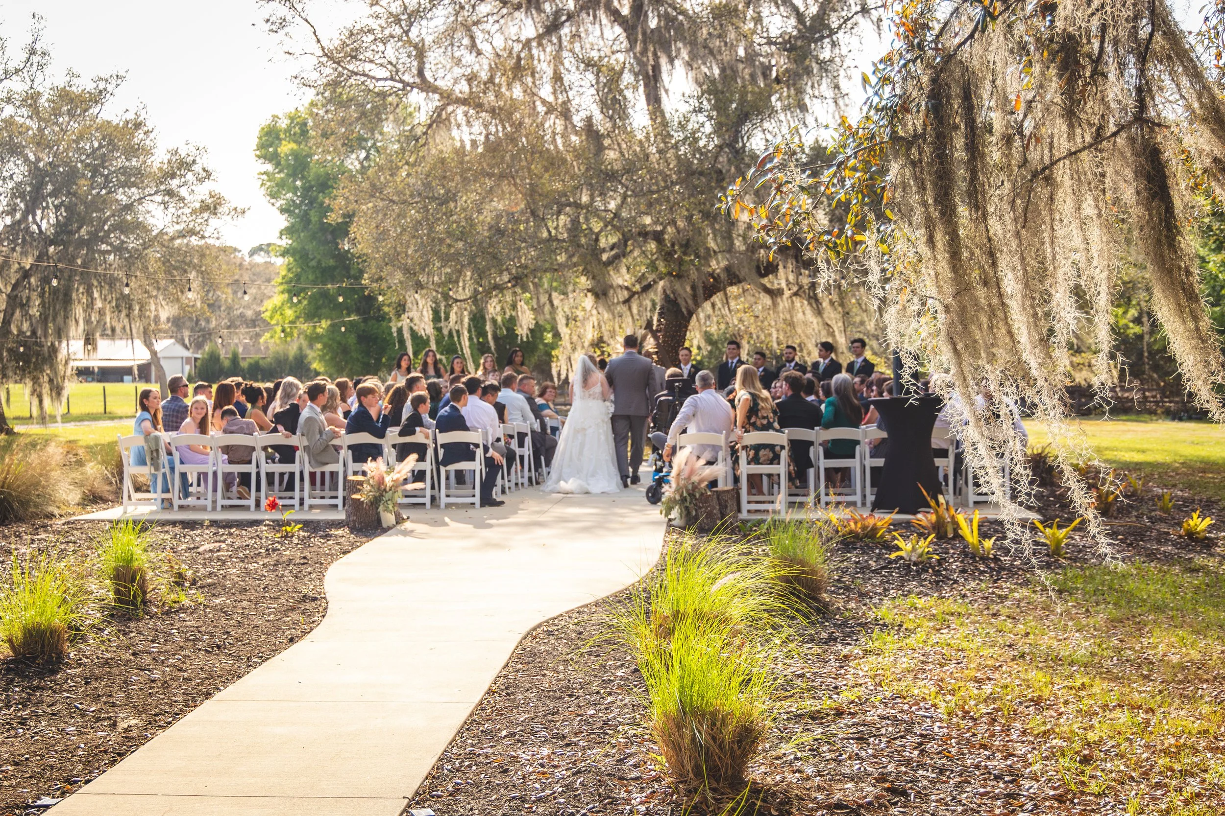 Outdoor wedding ceremony with guests seated on white chairs facing a bride and groom under large trees with Spanish moss, surrounded by greenery and string lights.