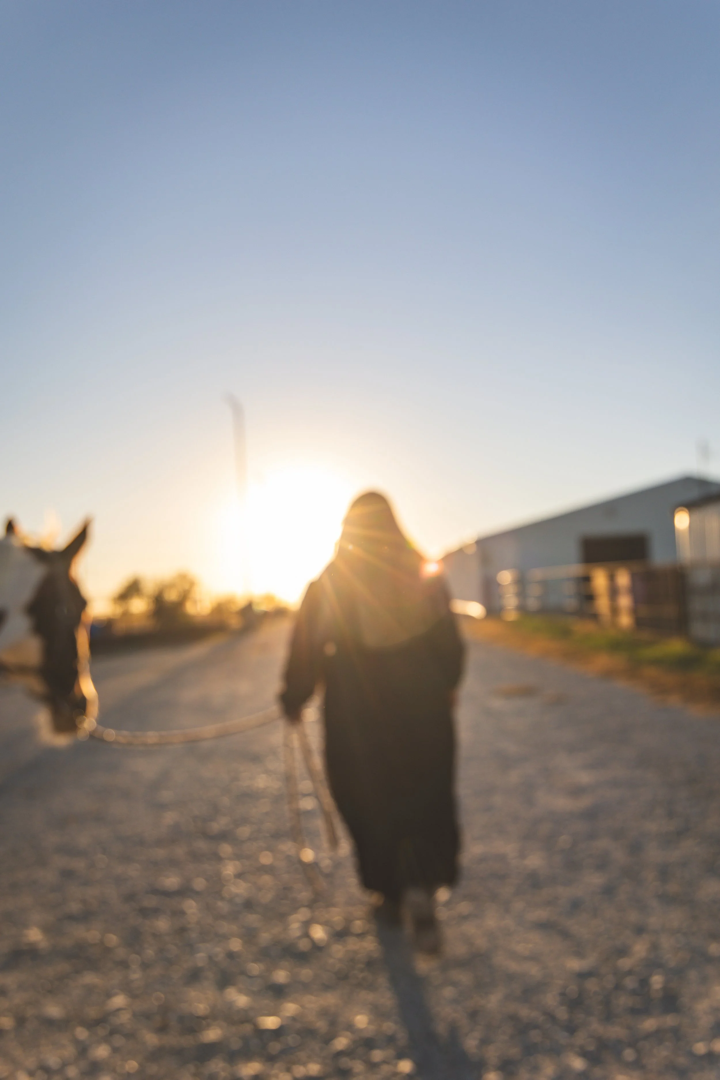 kansas-city-lifestyle-couples-session-horses-hunting-dogs16.jpg