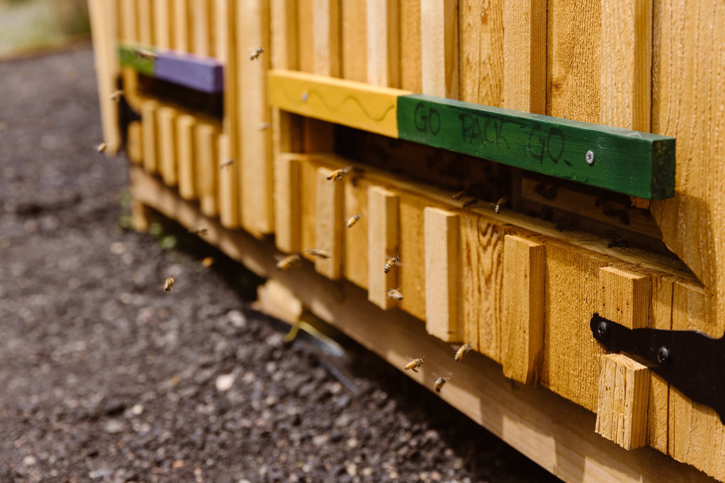 Bee Huts-Simply Cassandra-19.jpg