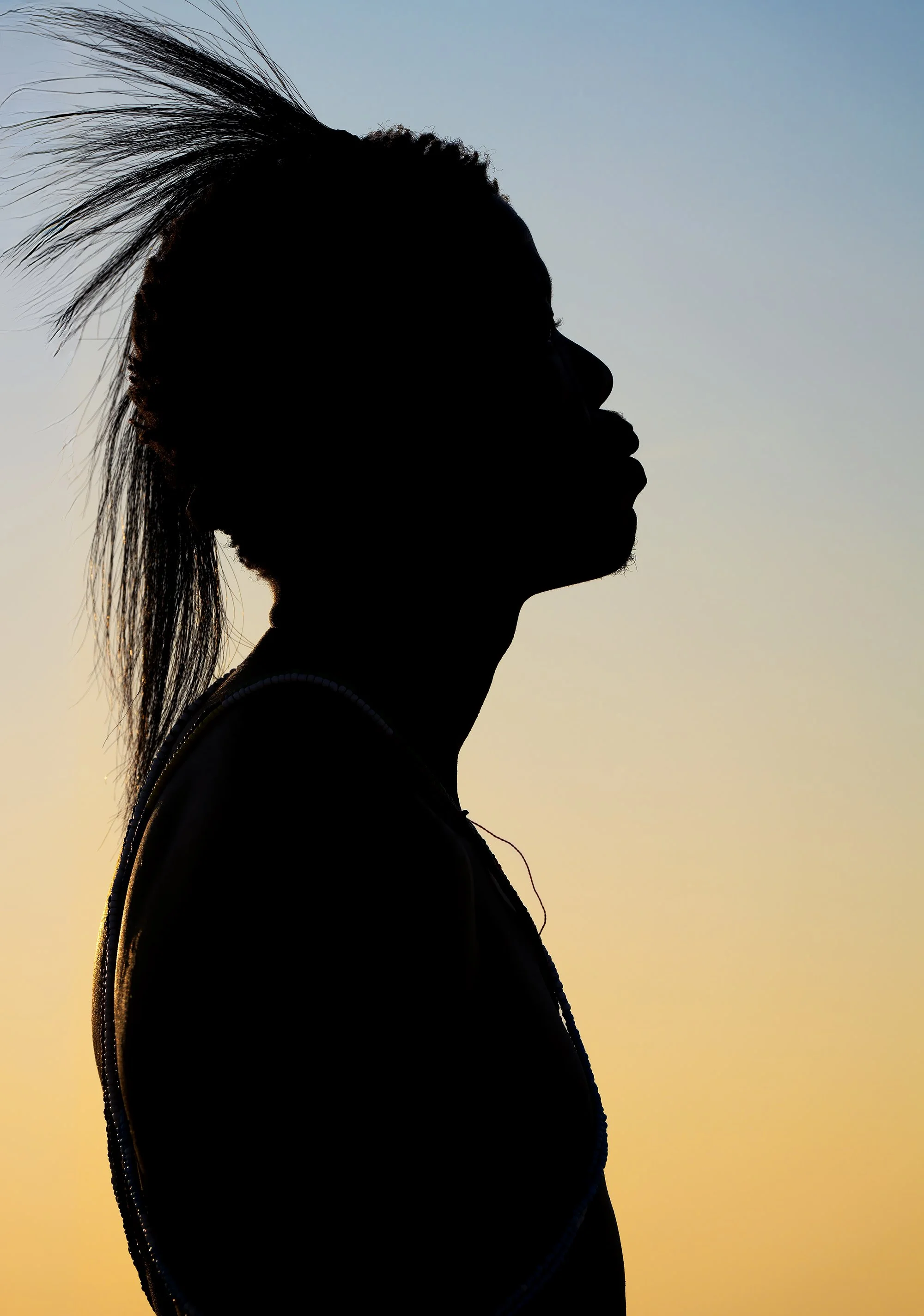 Silhouette of a person with a mohawk hairstyle against a soft sunset sky.