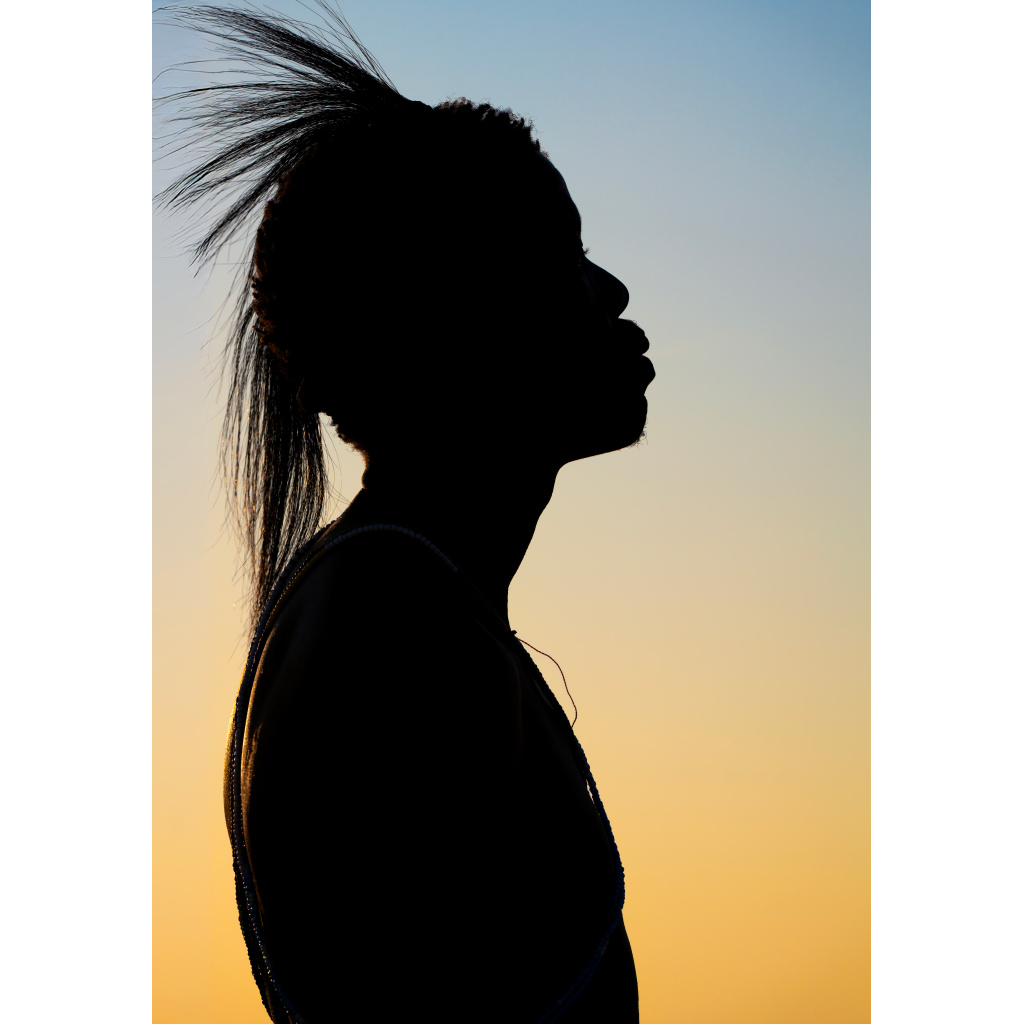 Silhouette of a woman with spiky hair looking to the right against a sunset sky.