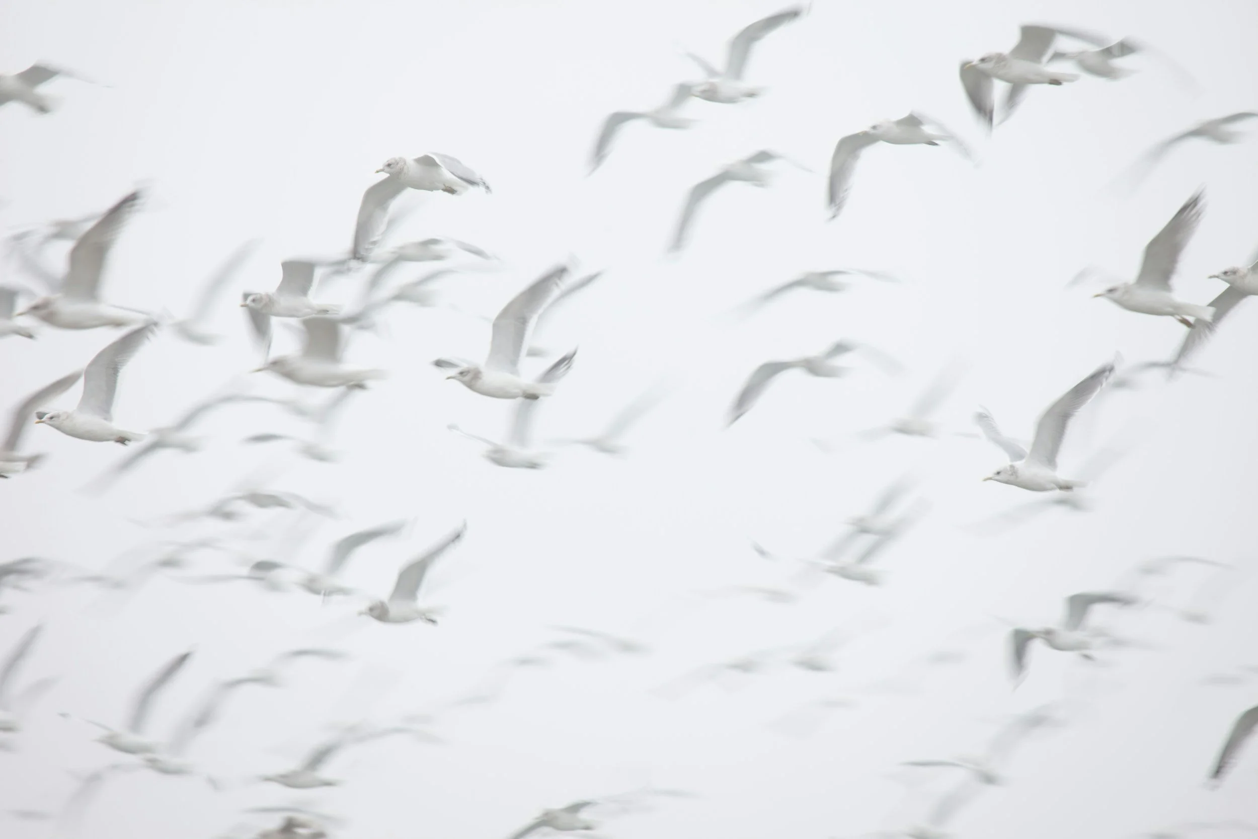unsplash-image-h2ZTEoRz0wY.jpg