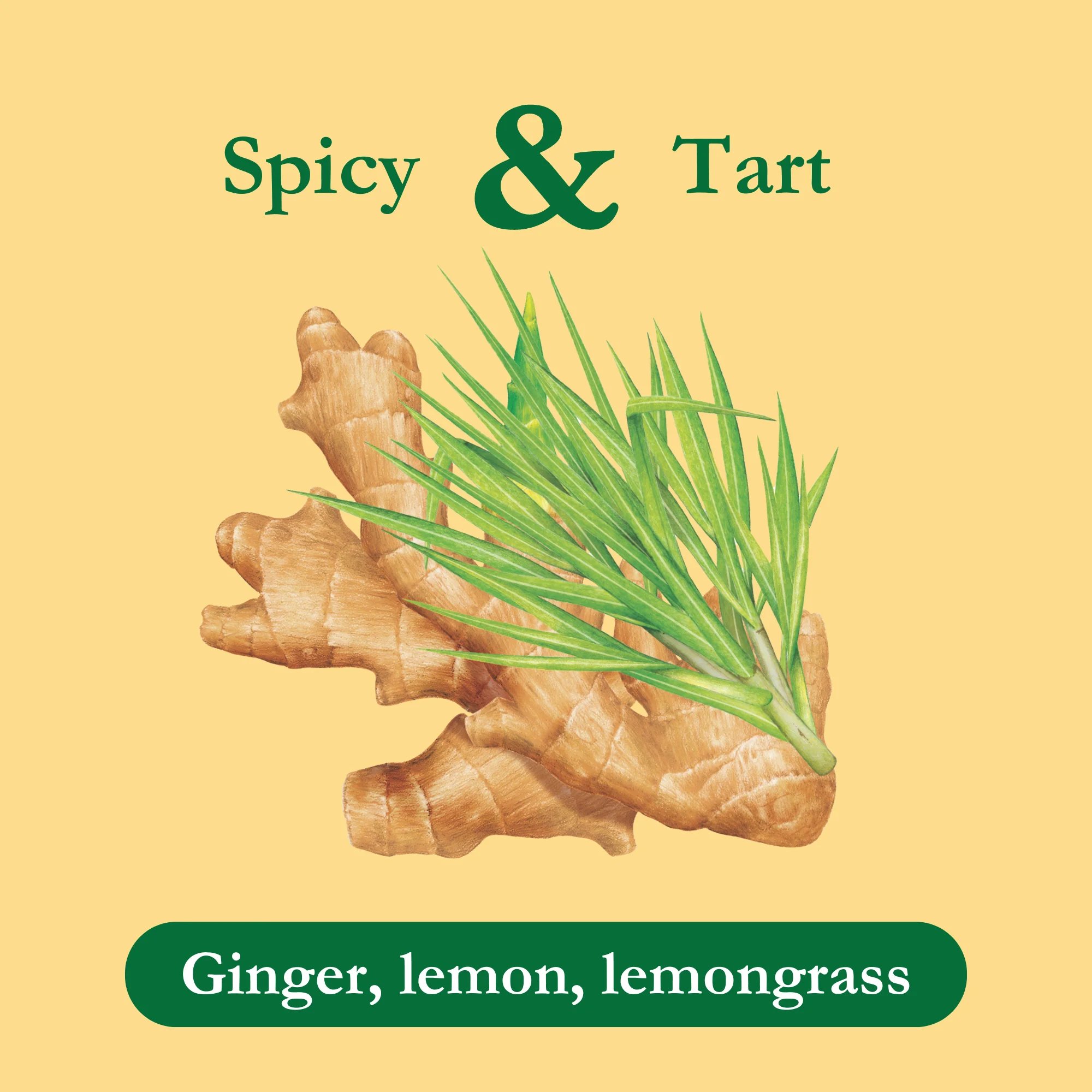 Tadin Lemon Ginger Tea, Caffeine-Free Herbal Tea, 24 Tea Bags
