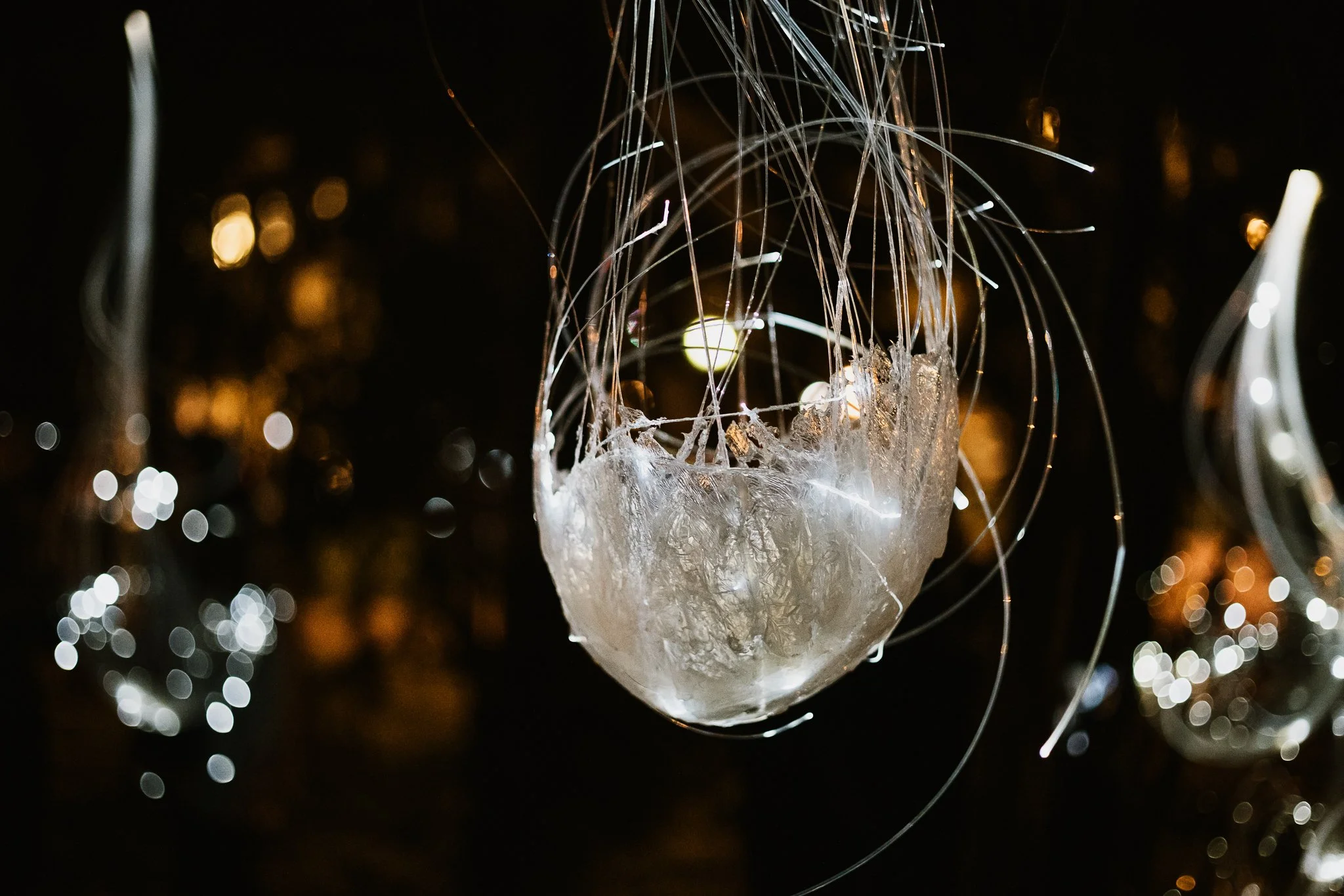 xxSamir Ceric KovacevicSamirCK_20240320_R62_2369.jpg