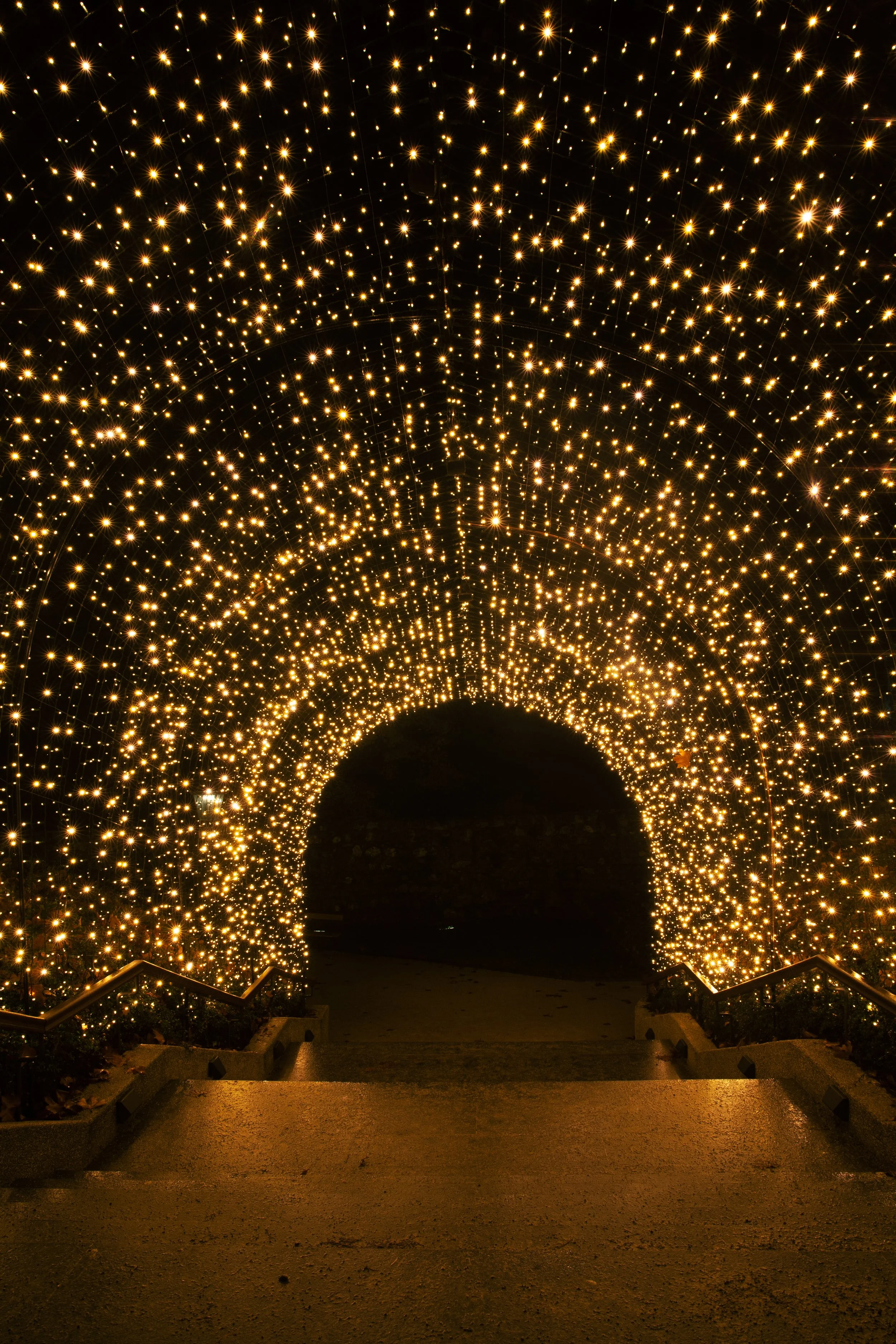 2.5_Leonardo Kancir.JPG