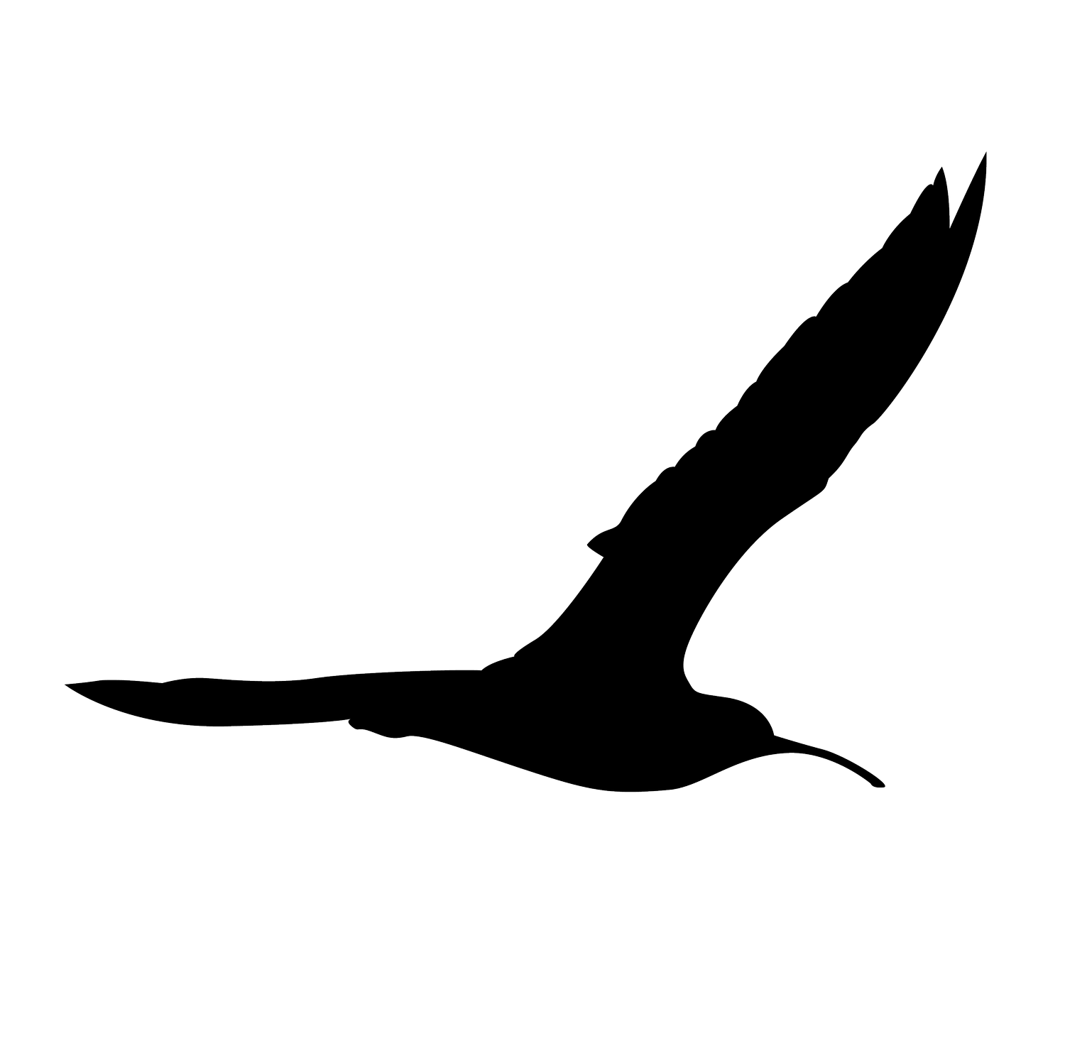 Atelier Wulp  by Erik Devroe