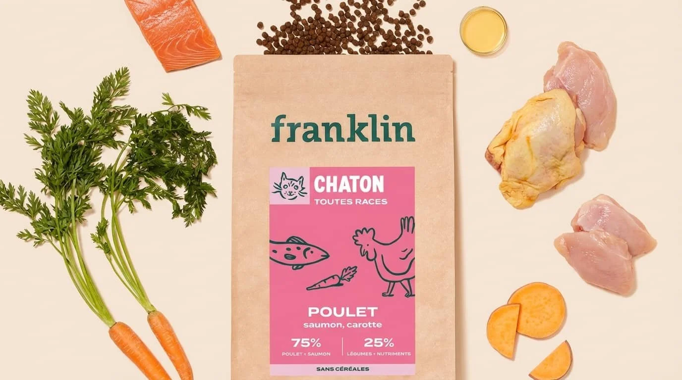 franklin chaton
