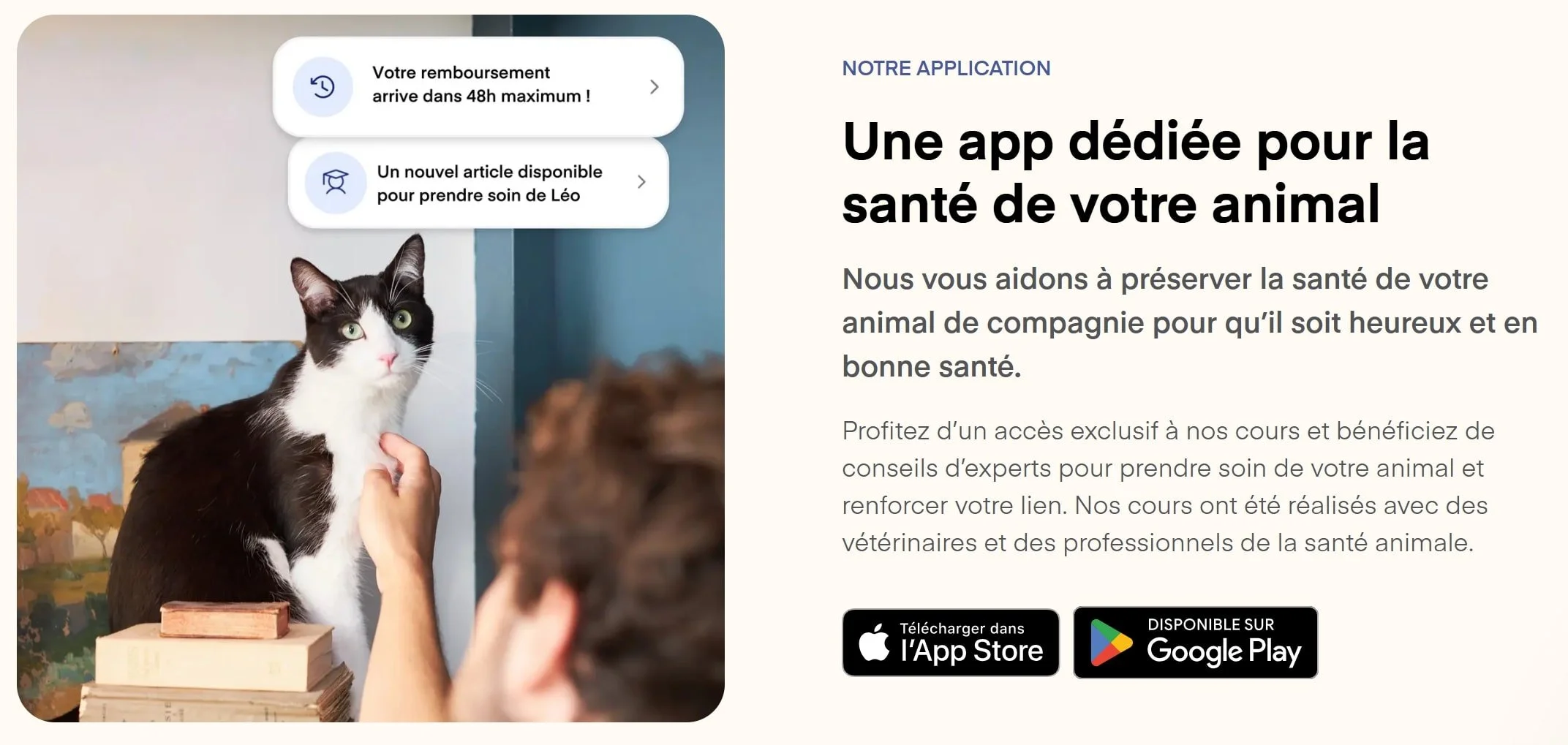 lassie application mobile