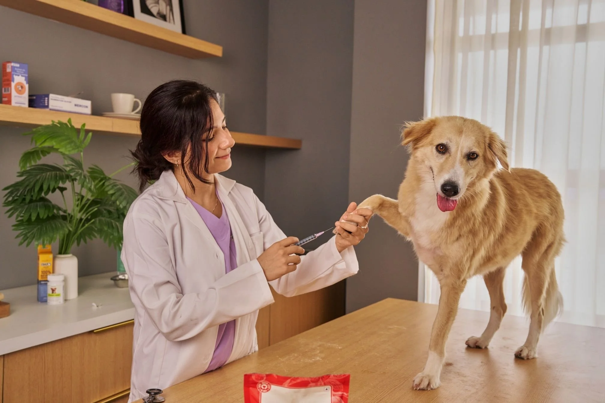 verdict assurance chien sans franchise