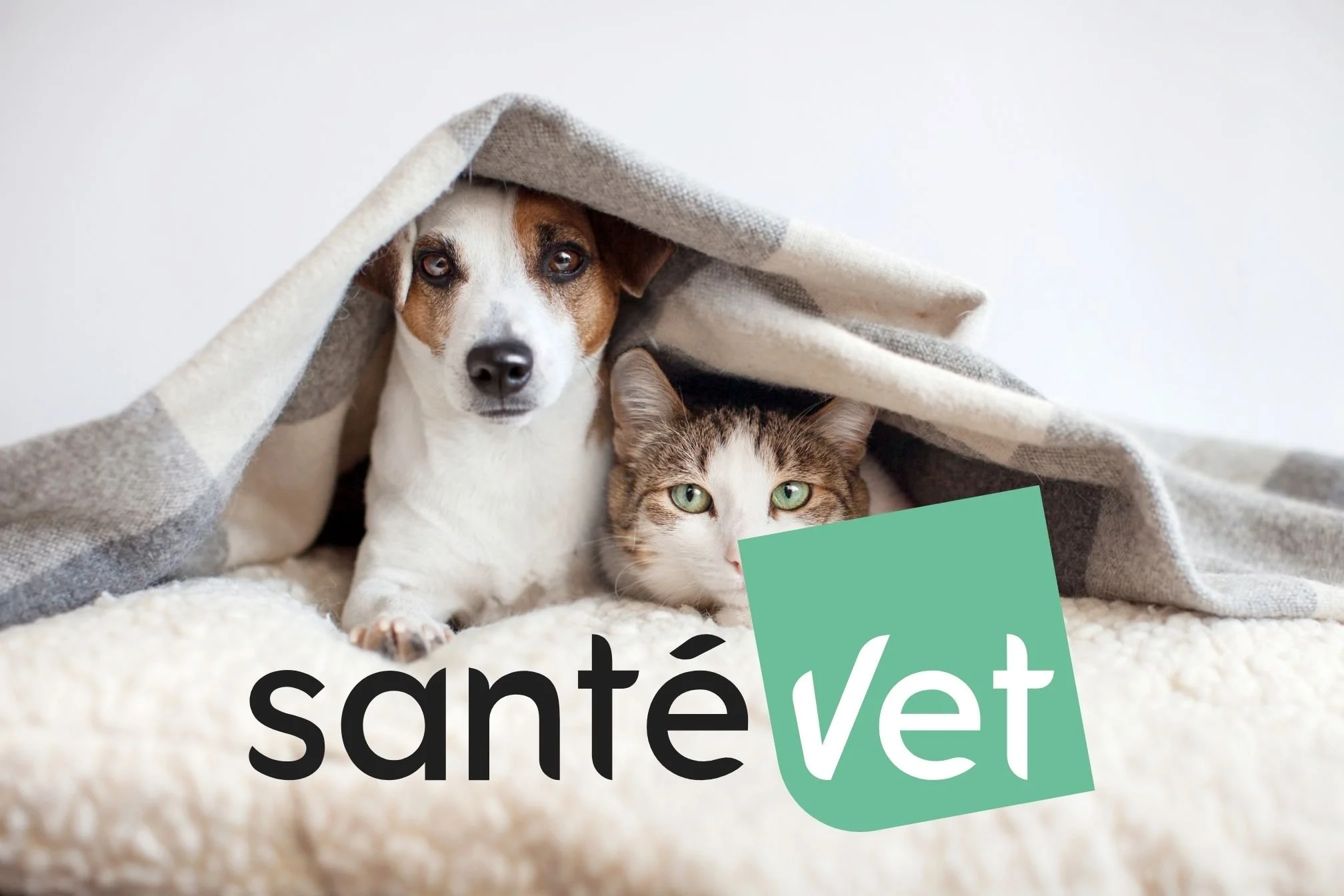 Avis santévet 2026: La meilleure assurance pour animaux? Notre enquête.