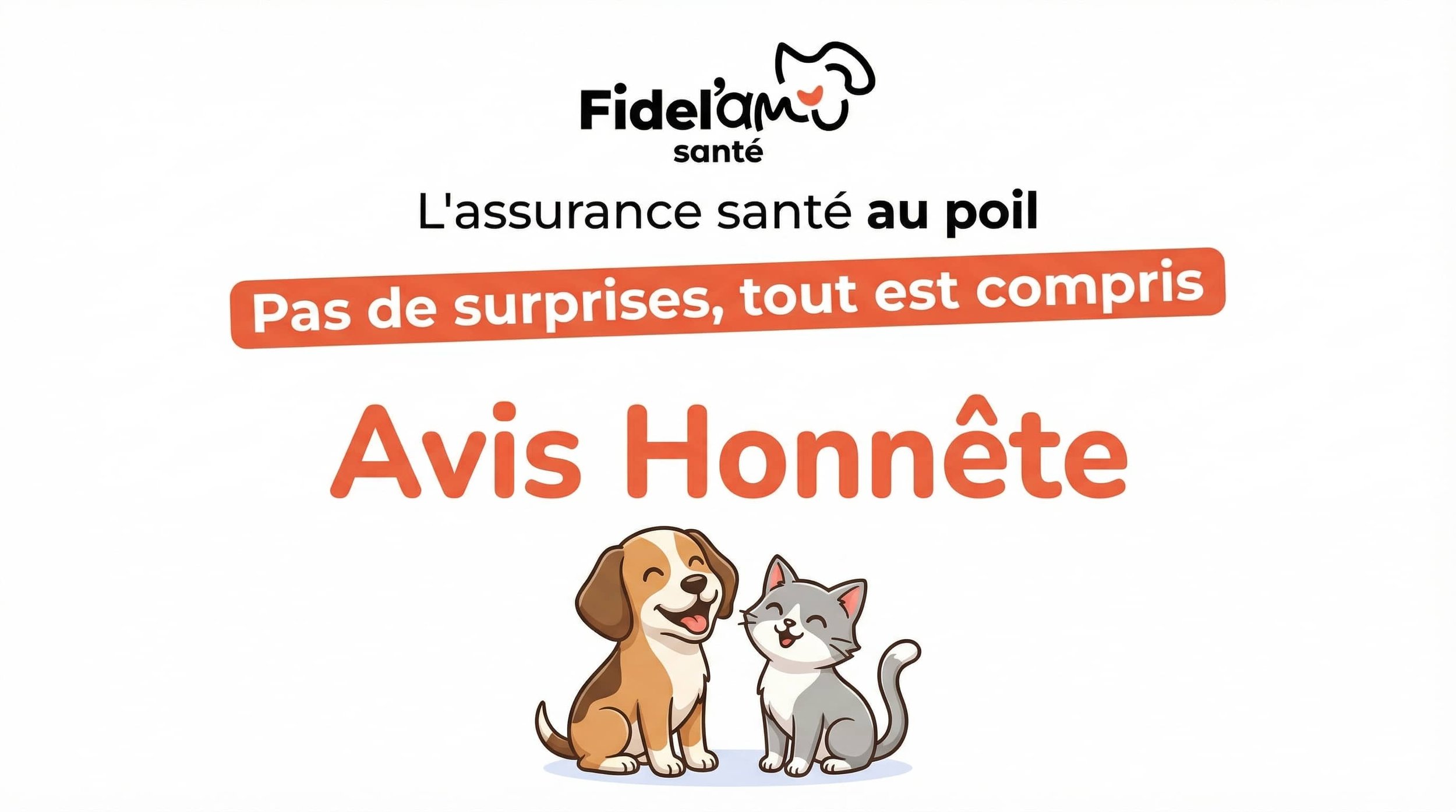 avis fidel ami sante