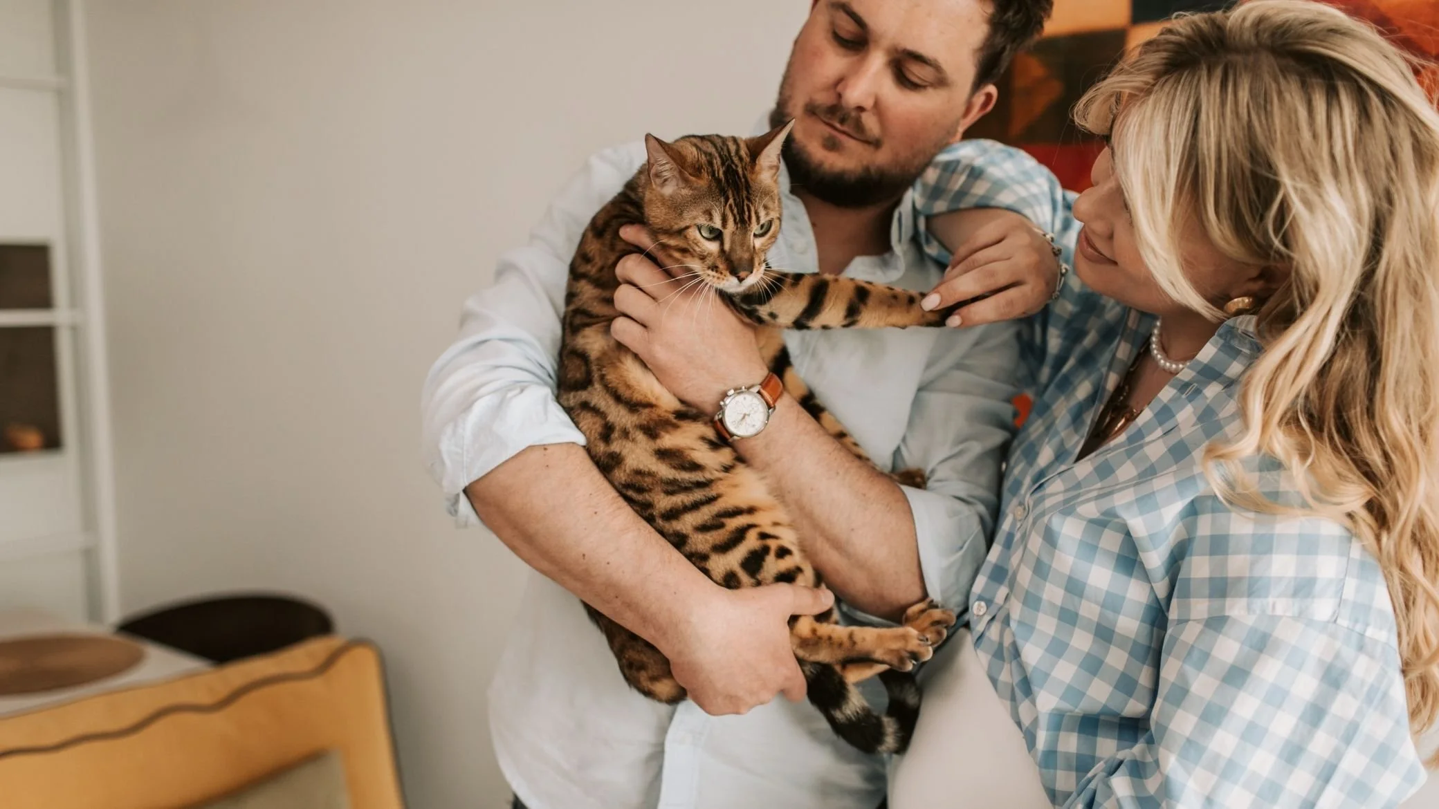 quel chat est fait pour moi