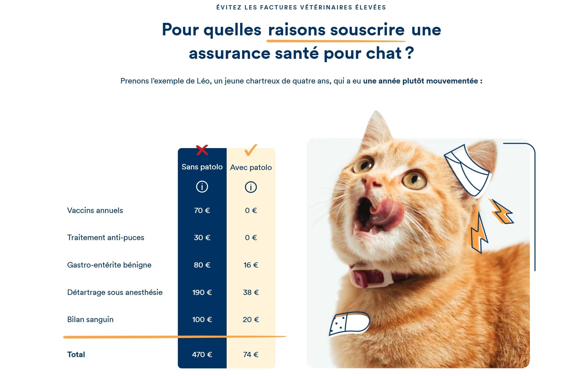 pour qui est fait patolo