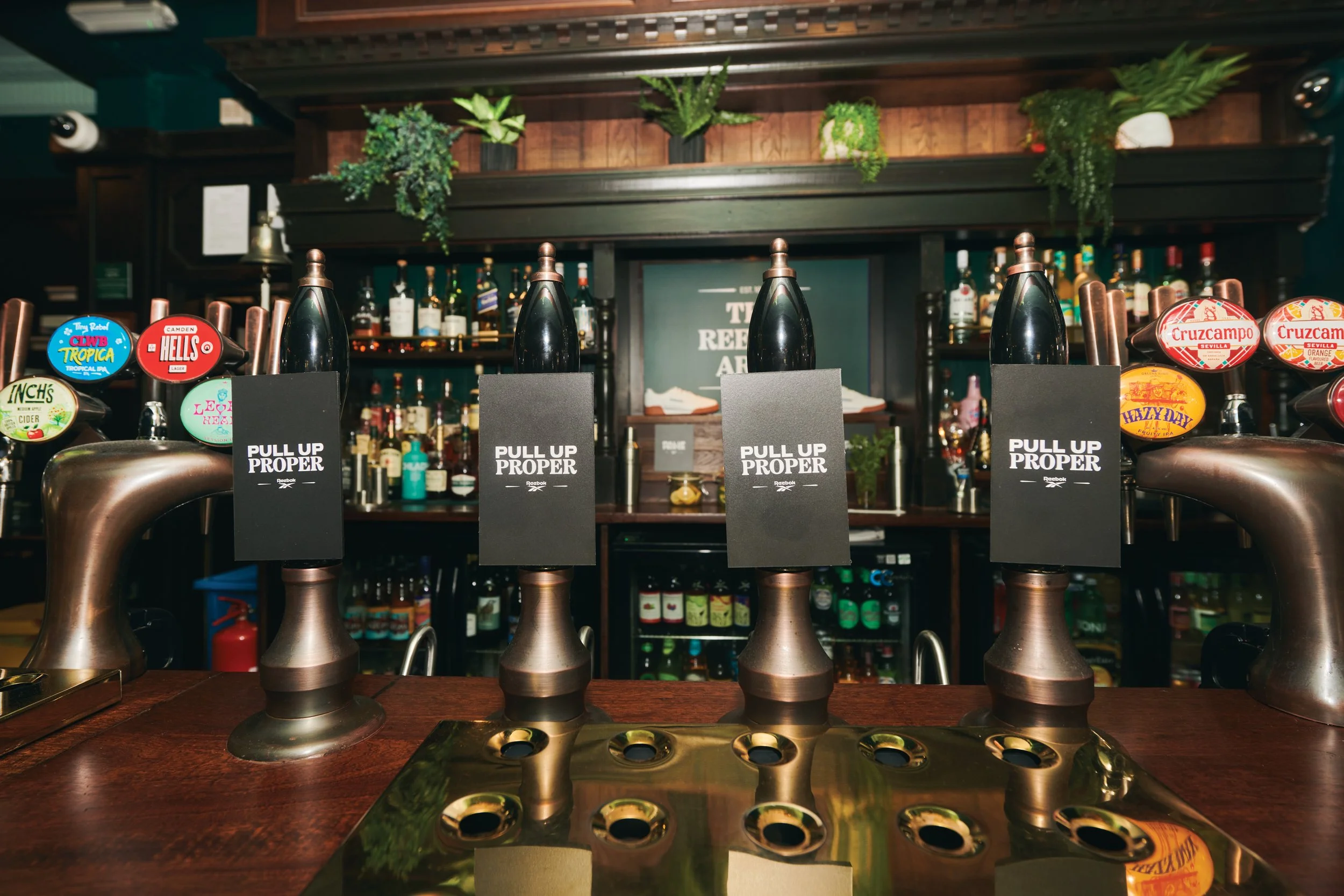 Bar with beer taps and bottles of liquor in the background, decorated with green plants on the shelf above.